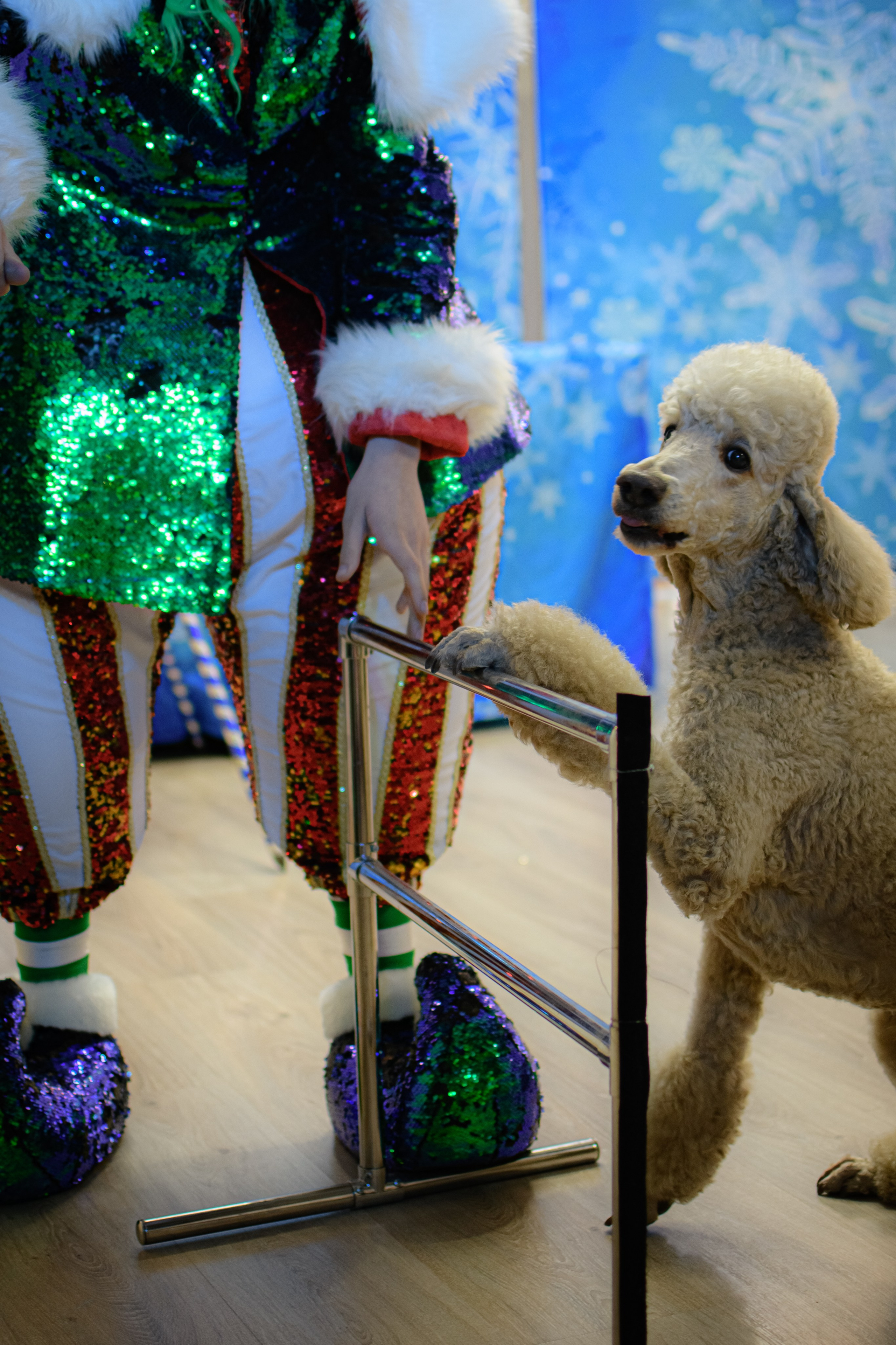 HAPPY NEW YEAR. Photokarish