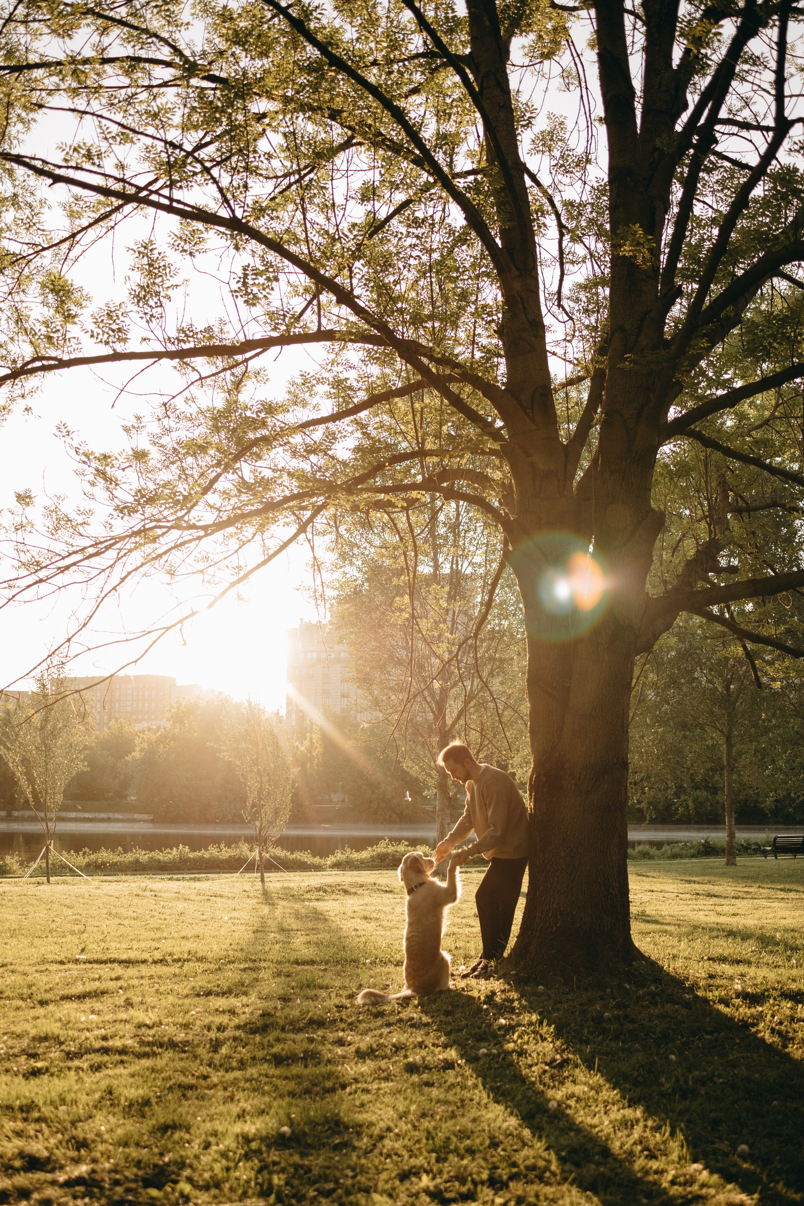 Пенни и ребята. Фотограф — Анималист | Санкт-Петербург