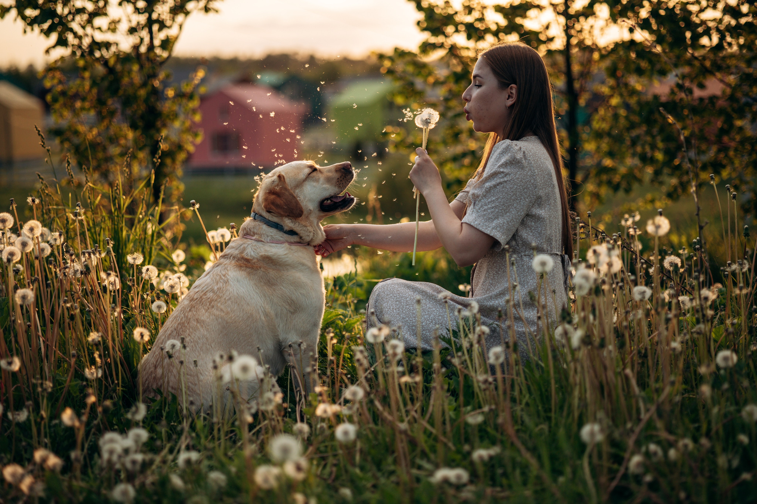 Шани и ее семья. Фотограф — Анималист | Санкт-Петербург