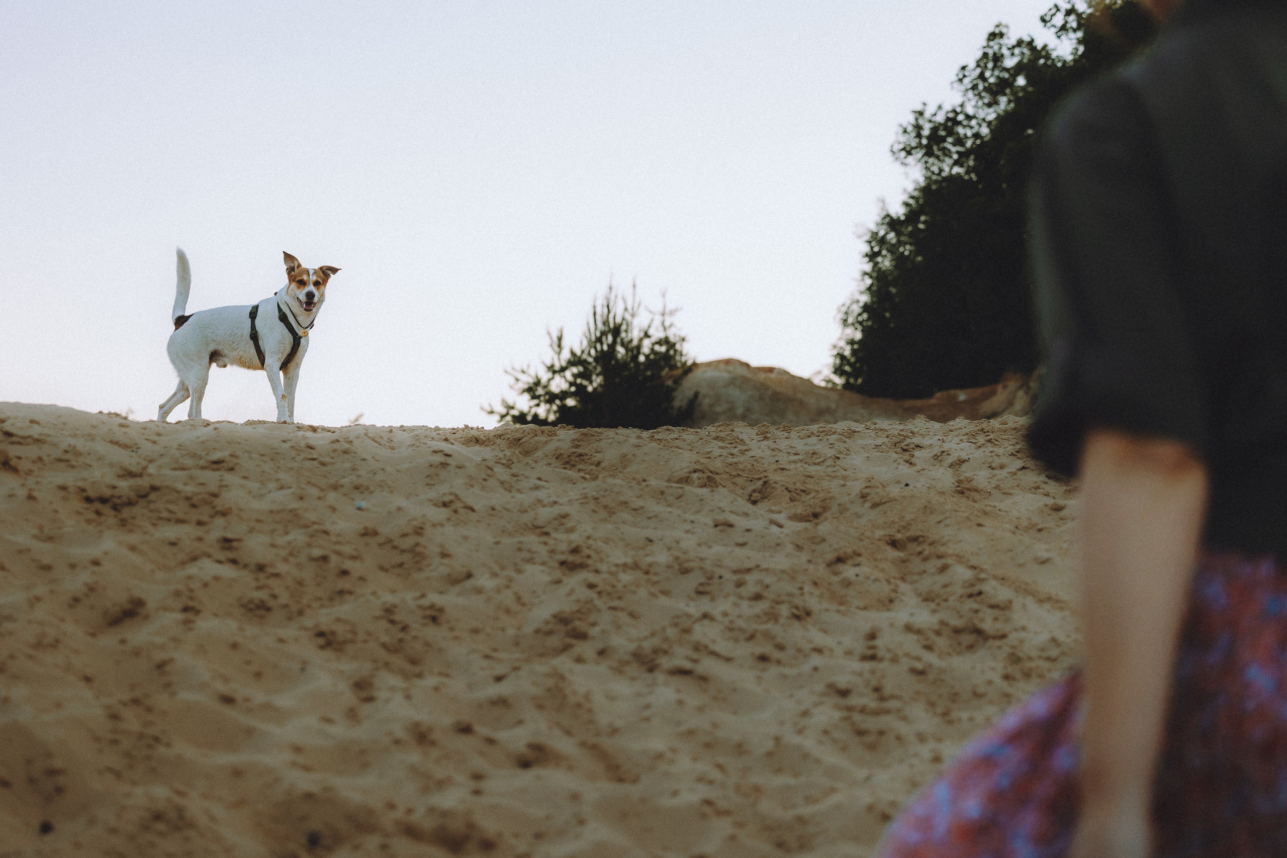 Юля и Марфи