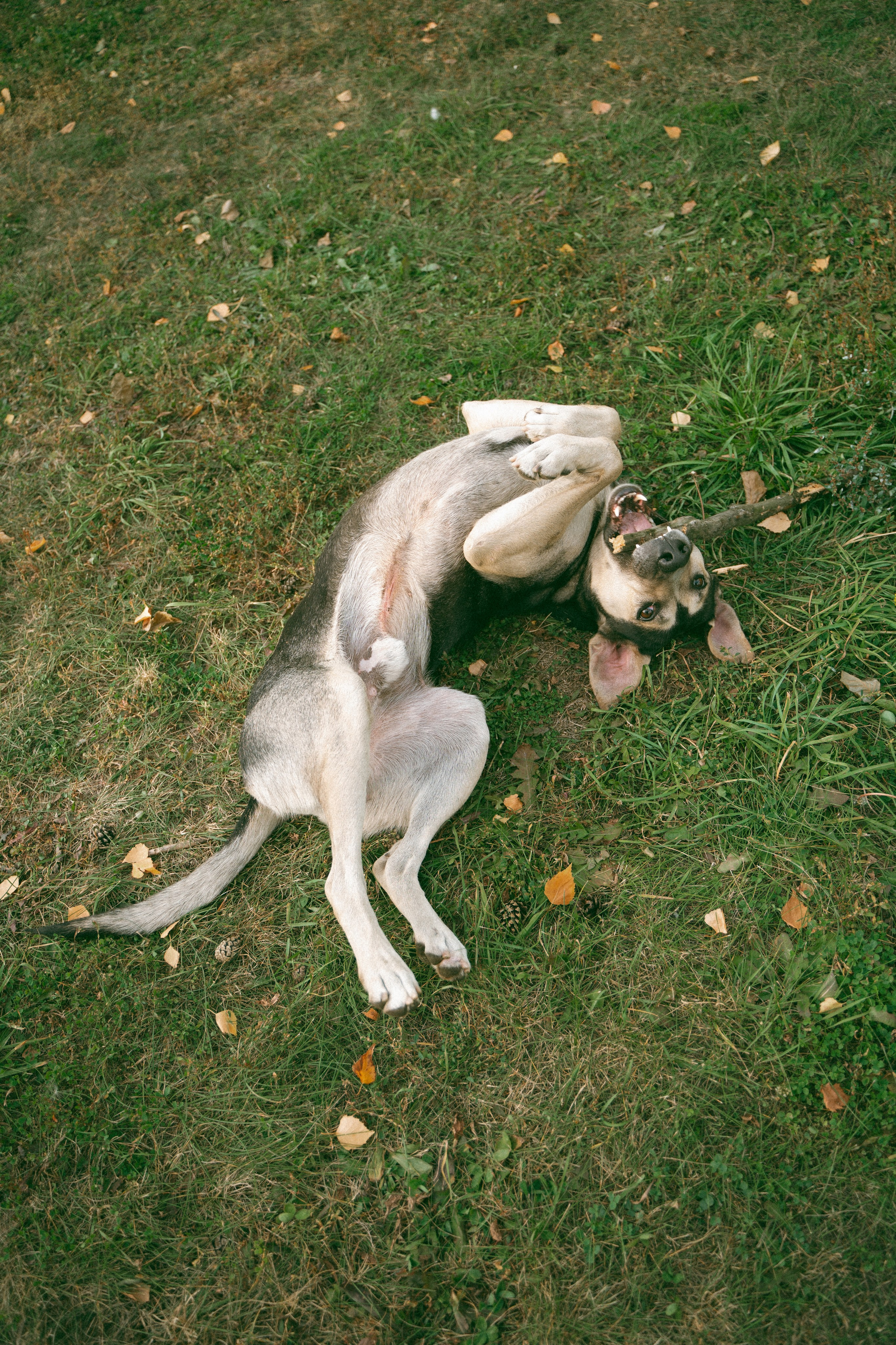 Прогулка в парке. Фотограф Мария Зайчик
