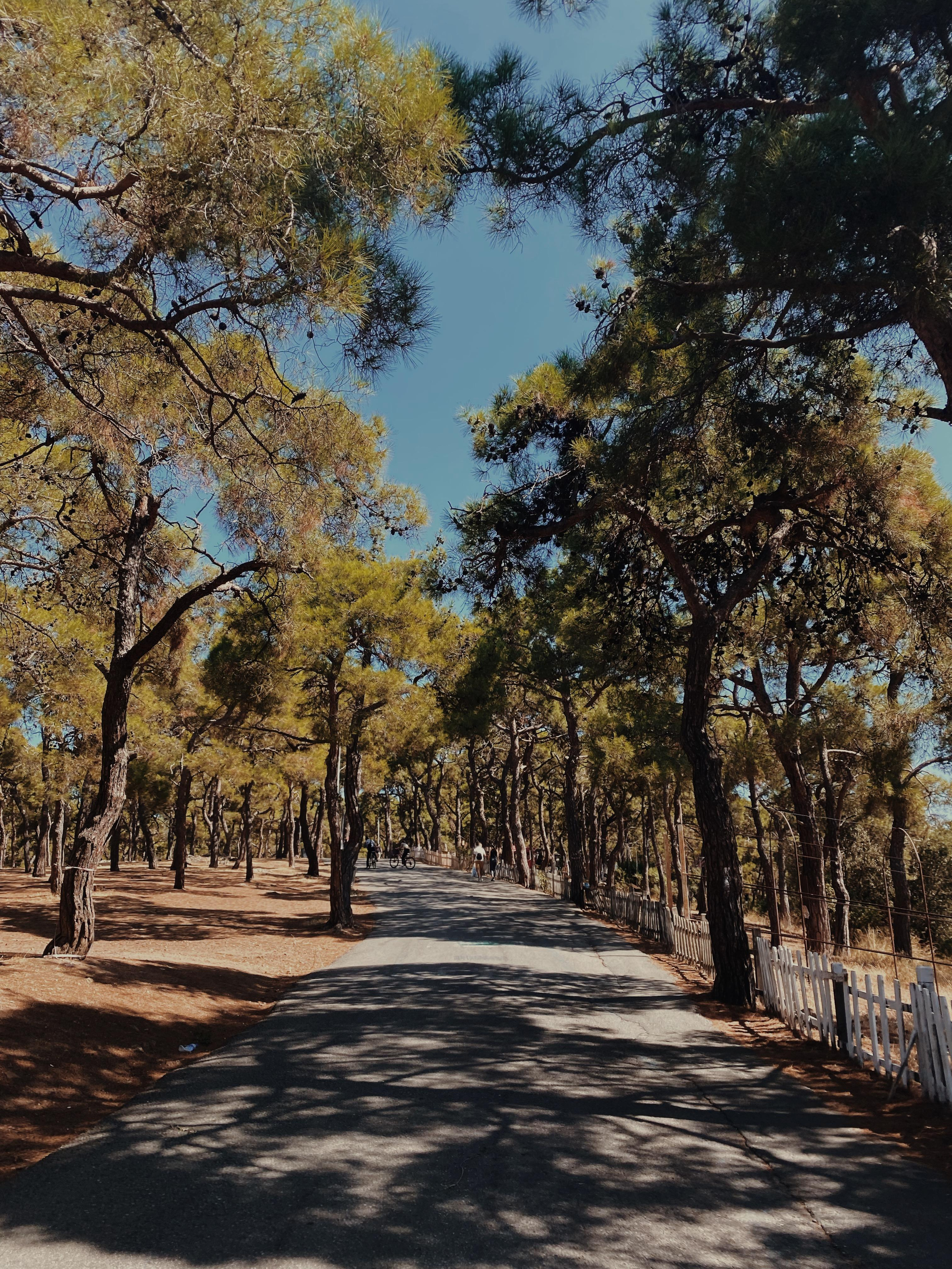 Istanbul. Говорим о Вас