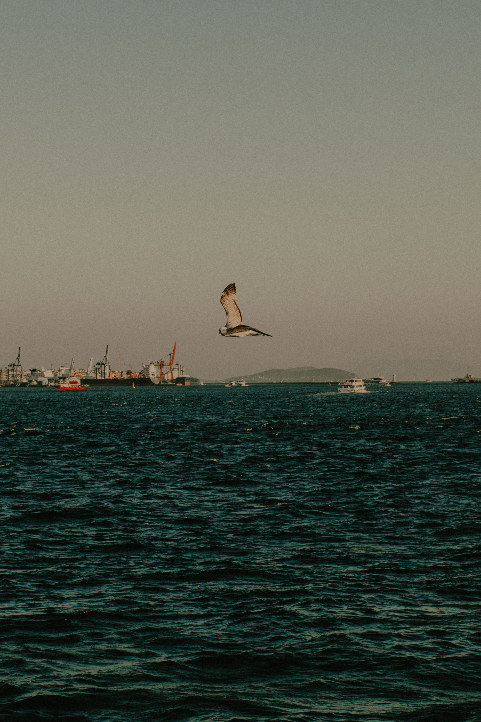 Istanbul. Говорим о Вас