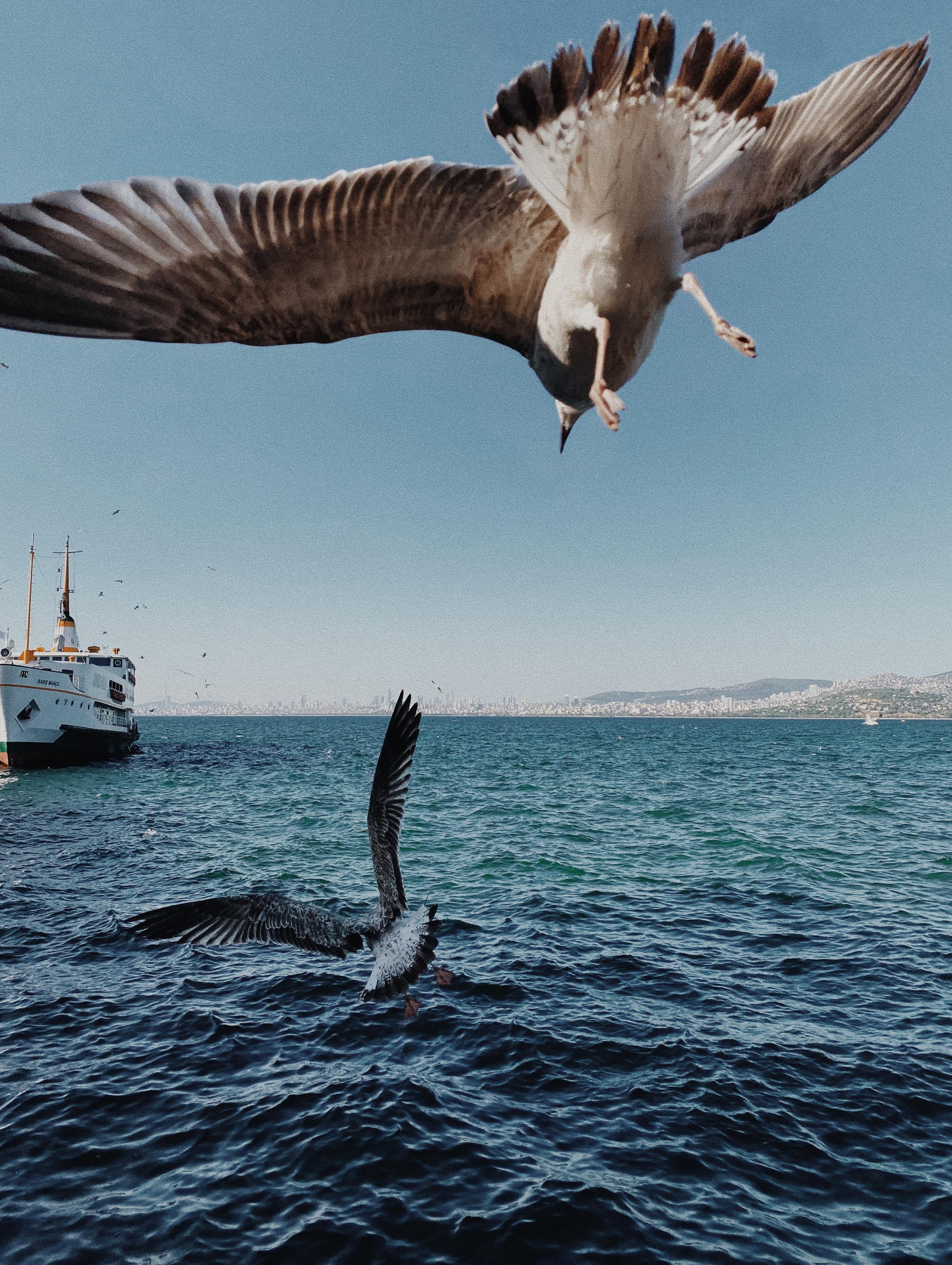 Istanbul. Говорим о Вас