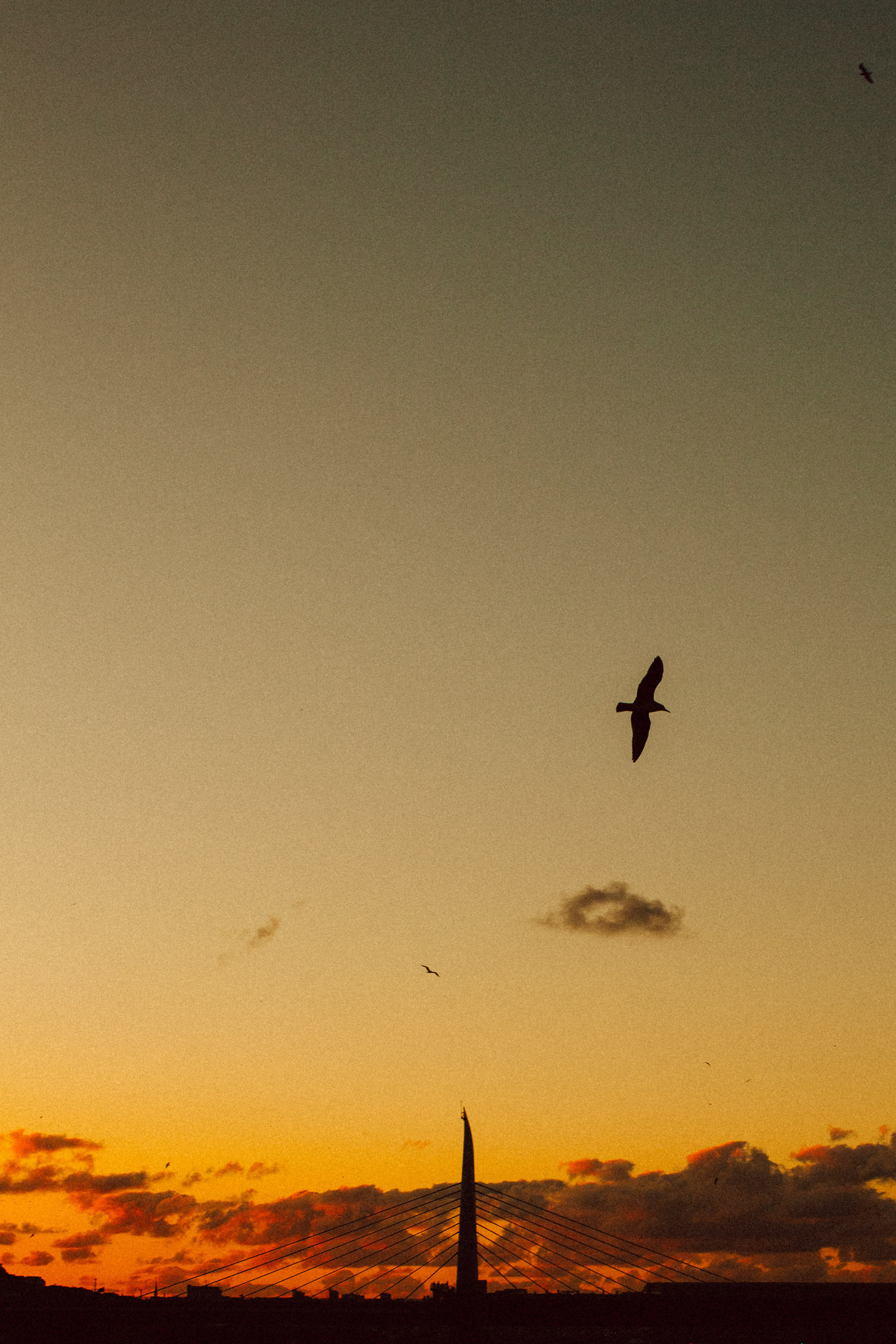 Istanbul. Говорим о Вас