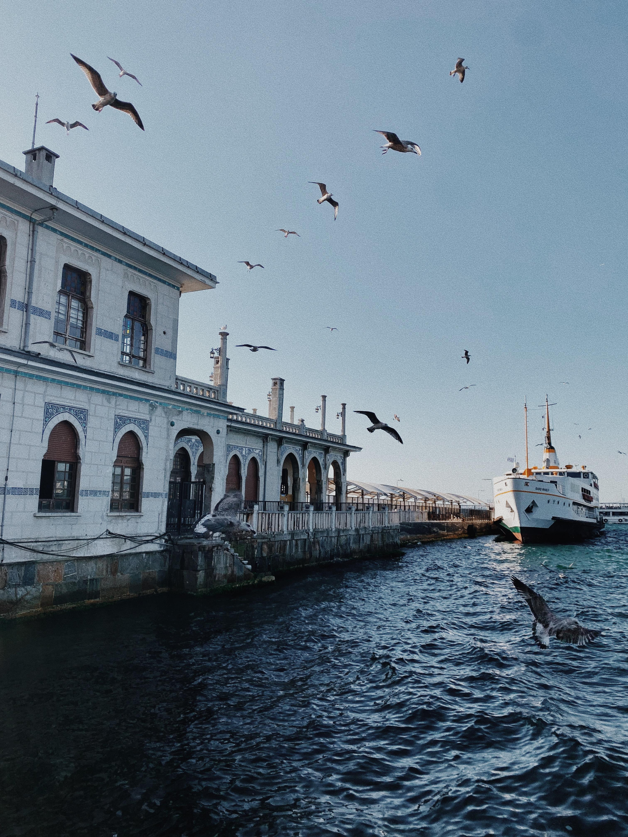Istanbul. Говорим о Вас