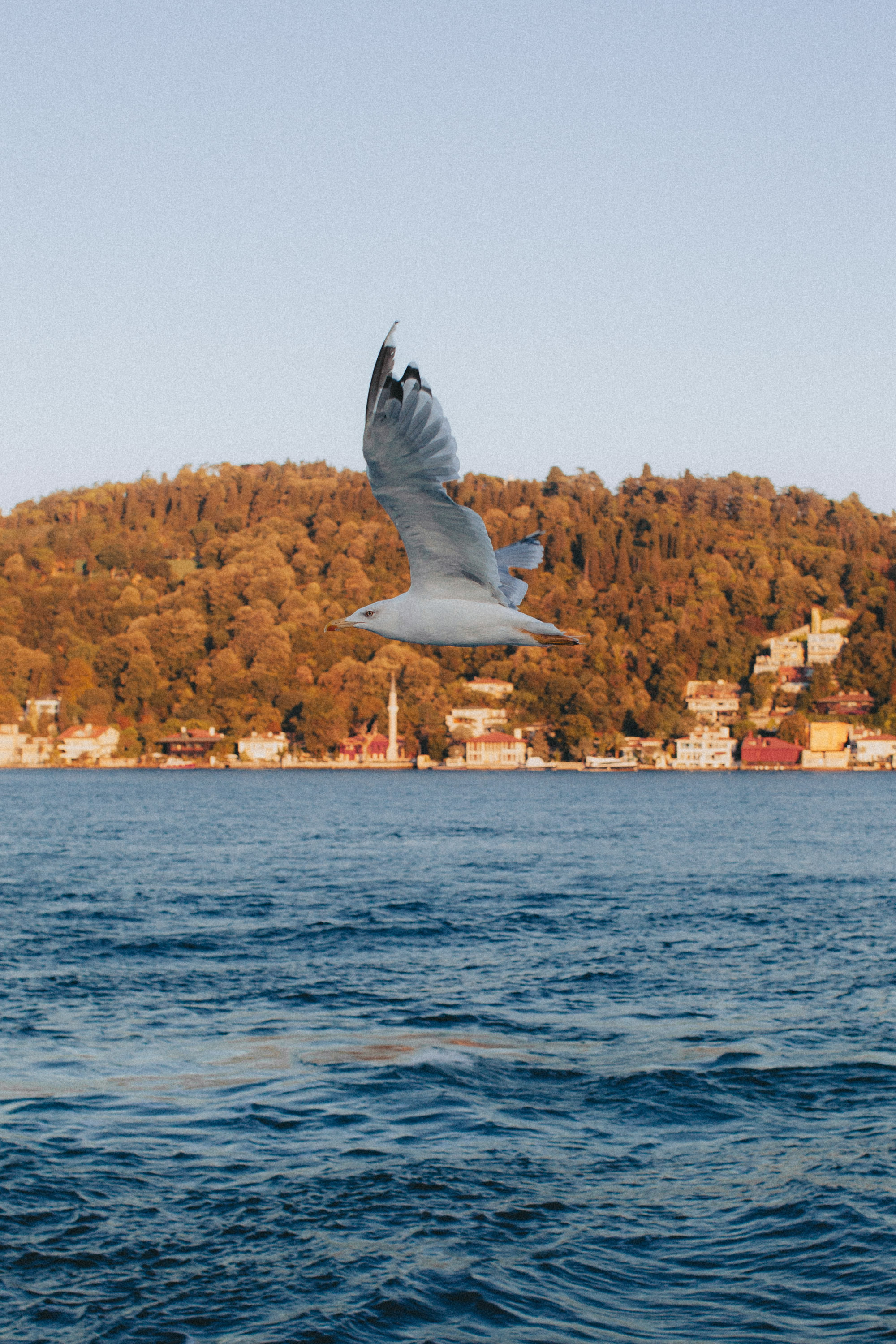 Istanbul. Говорим о Вас