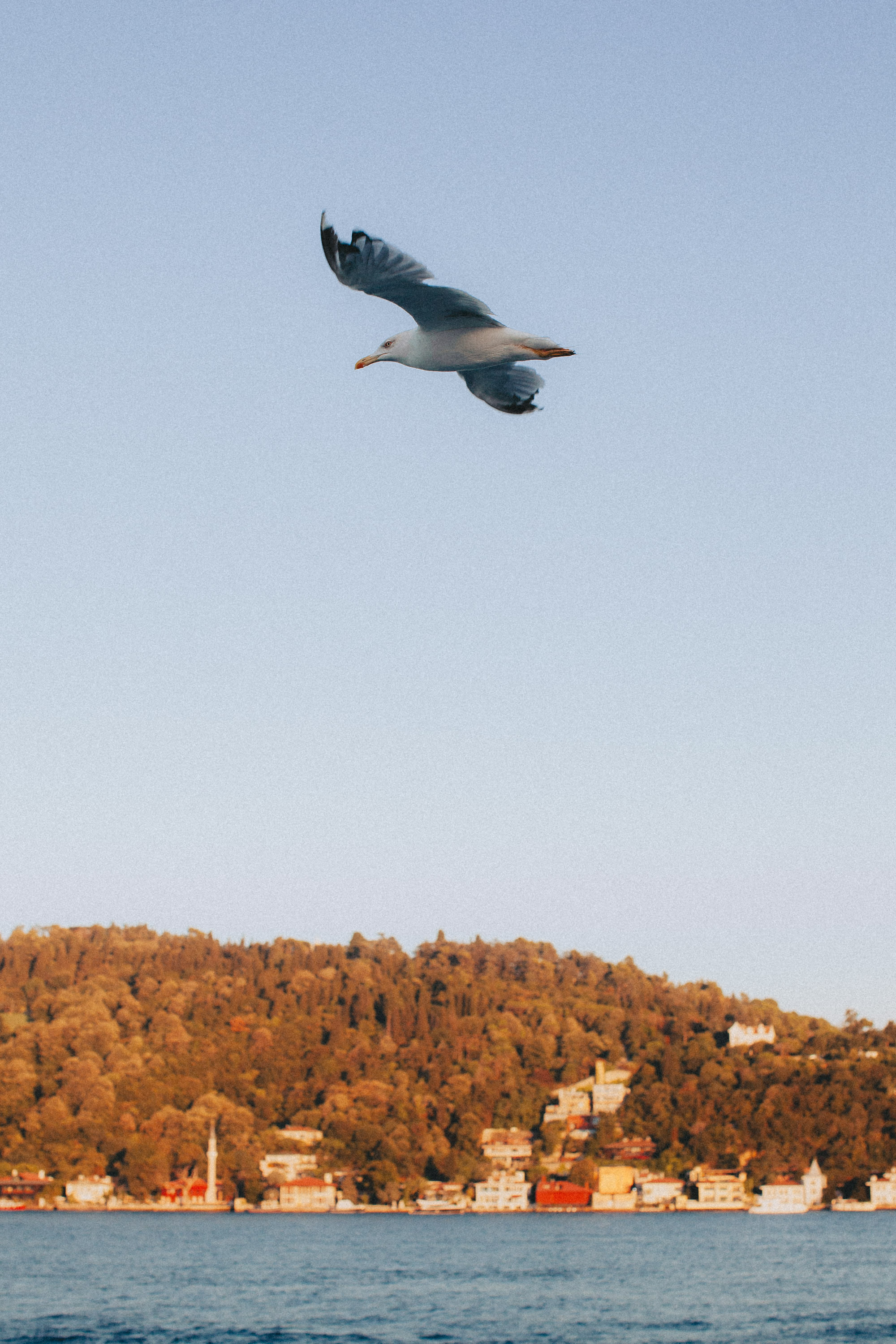 Istanbul. Говорим о Вас