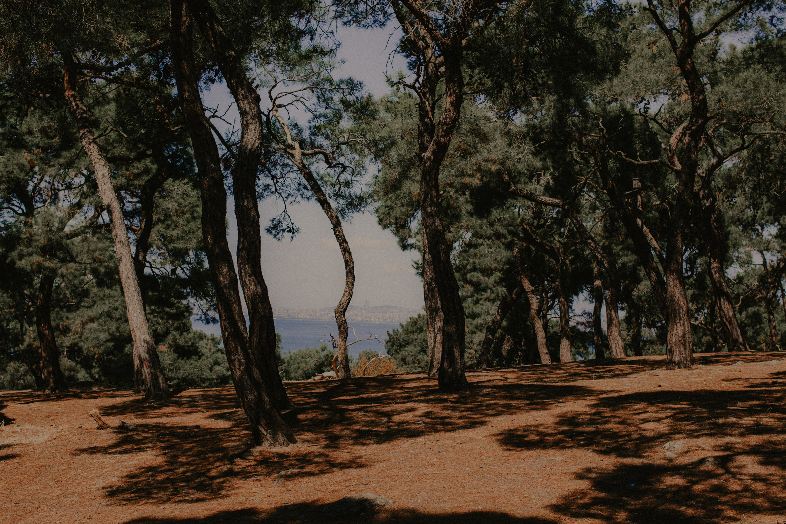 Istanbul. Говорим о Вас