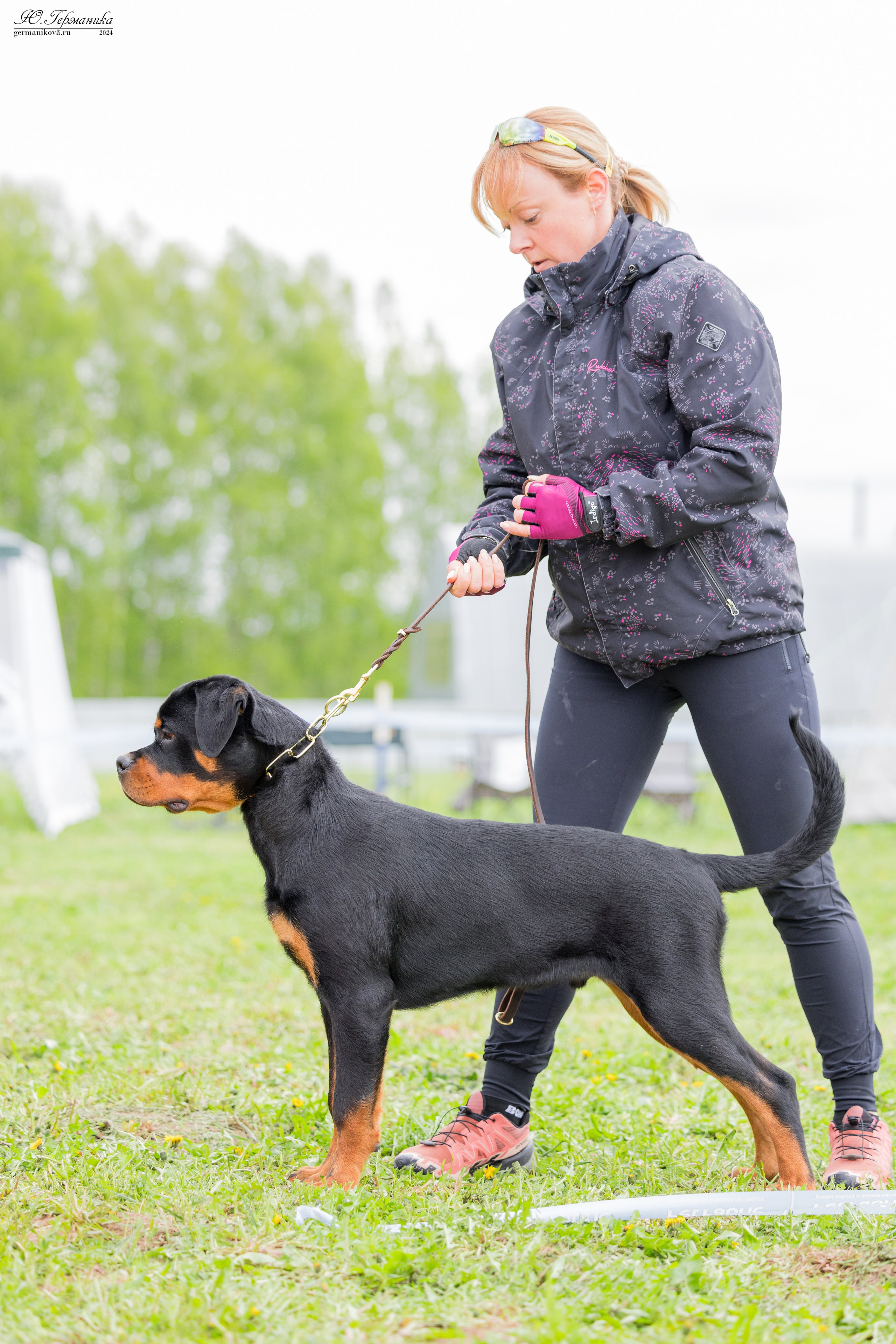 Нижний Новгород 11-12.05.2024 моно ротвейлеров. Фотограф-анималист Юлия Германика