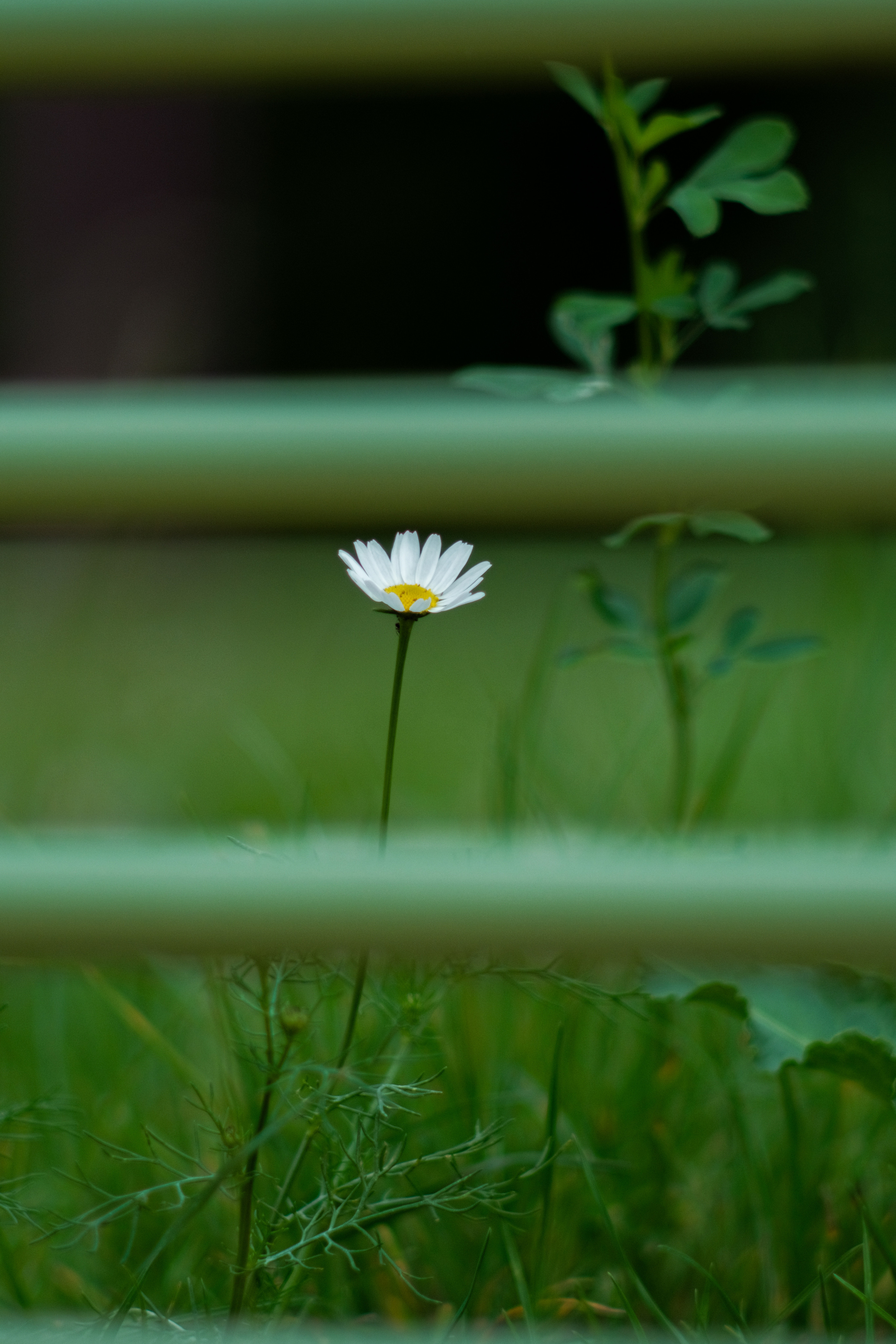 Фотограф Владимир Кононенко