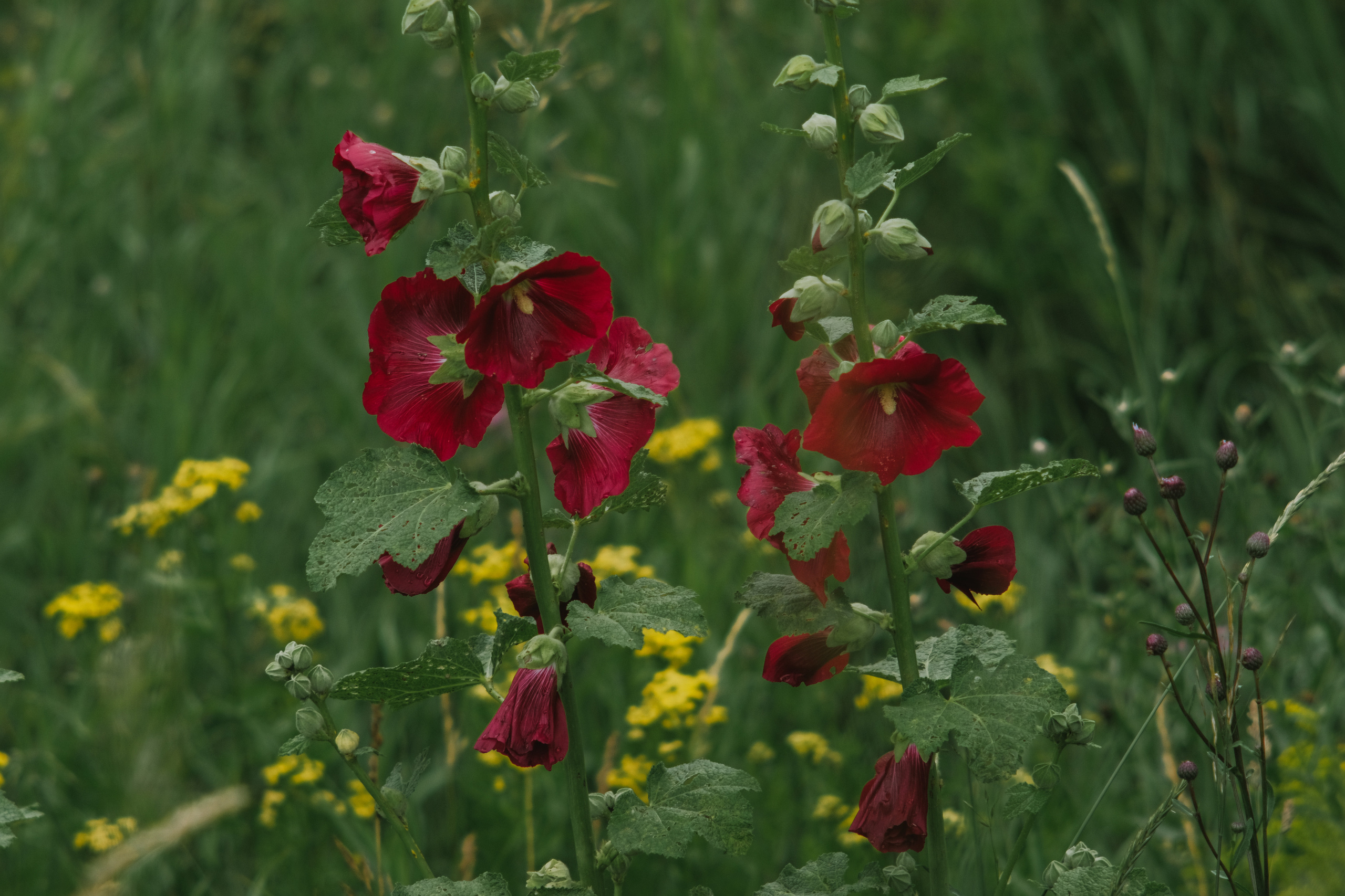 Фотограф Владимир Кононенко