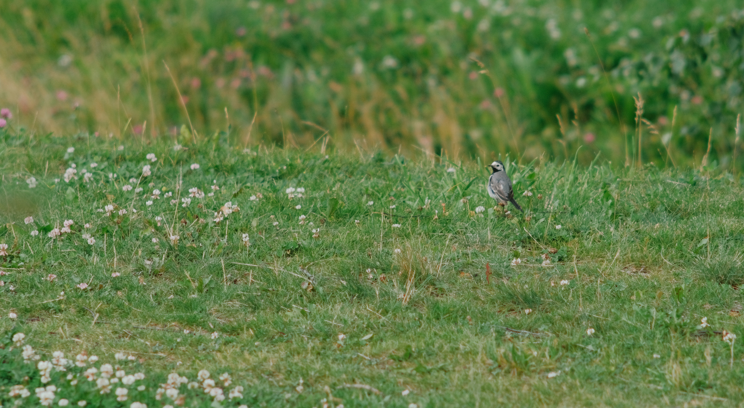 Фотограф Владимир Кононенко