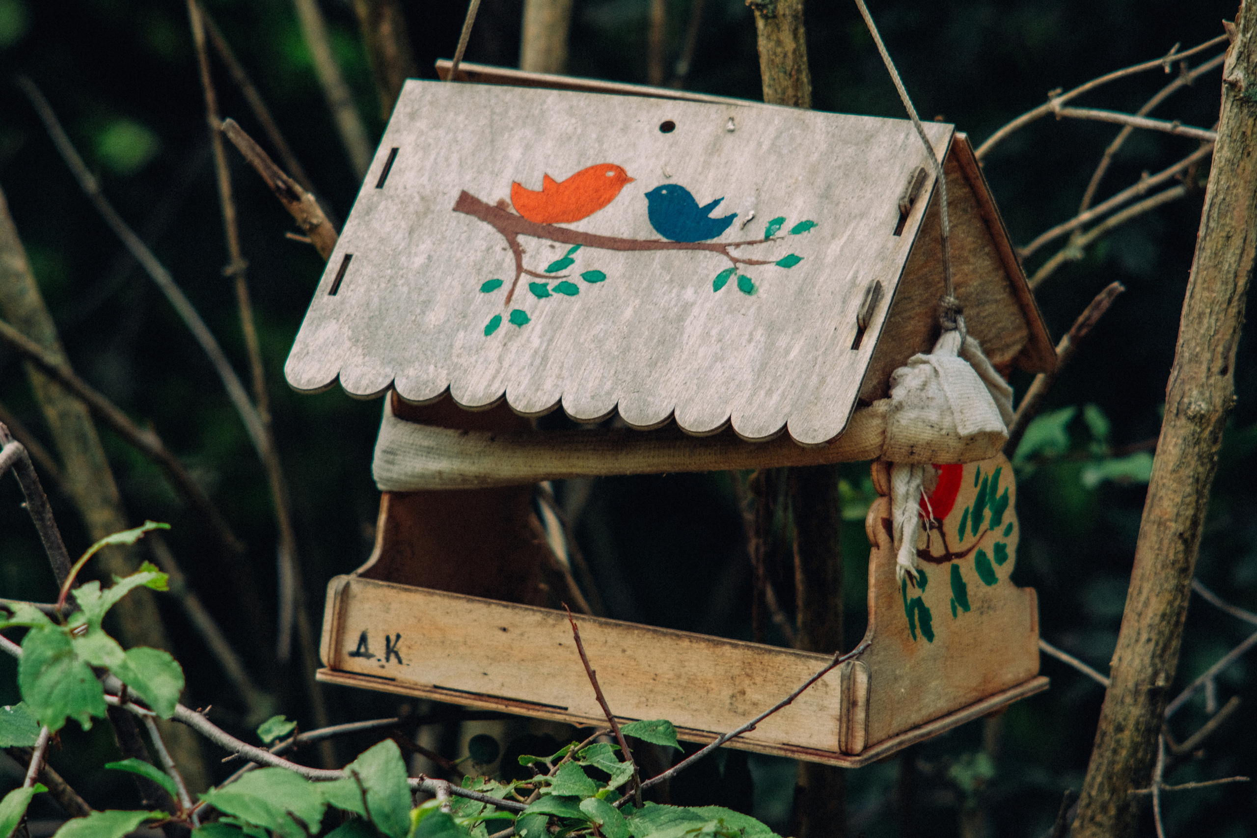 Фотограф Владимир Кононенко