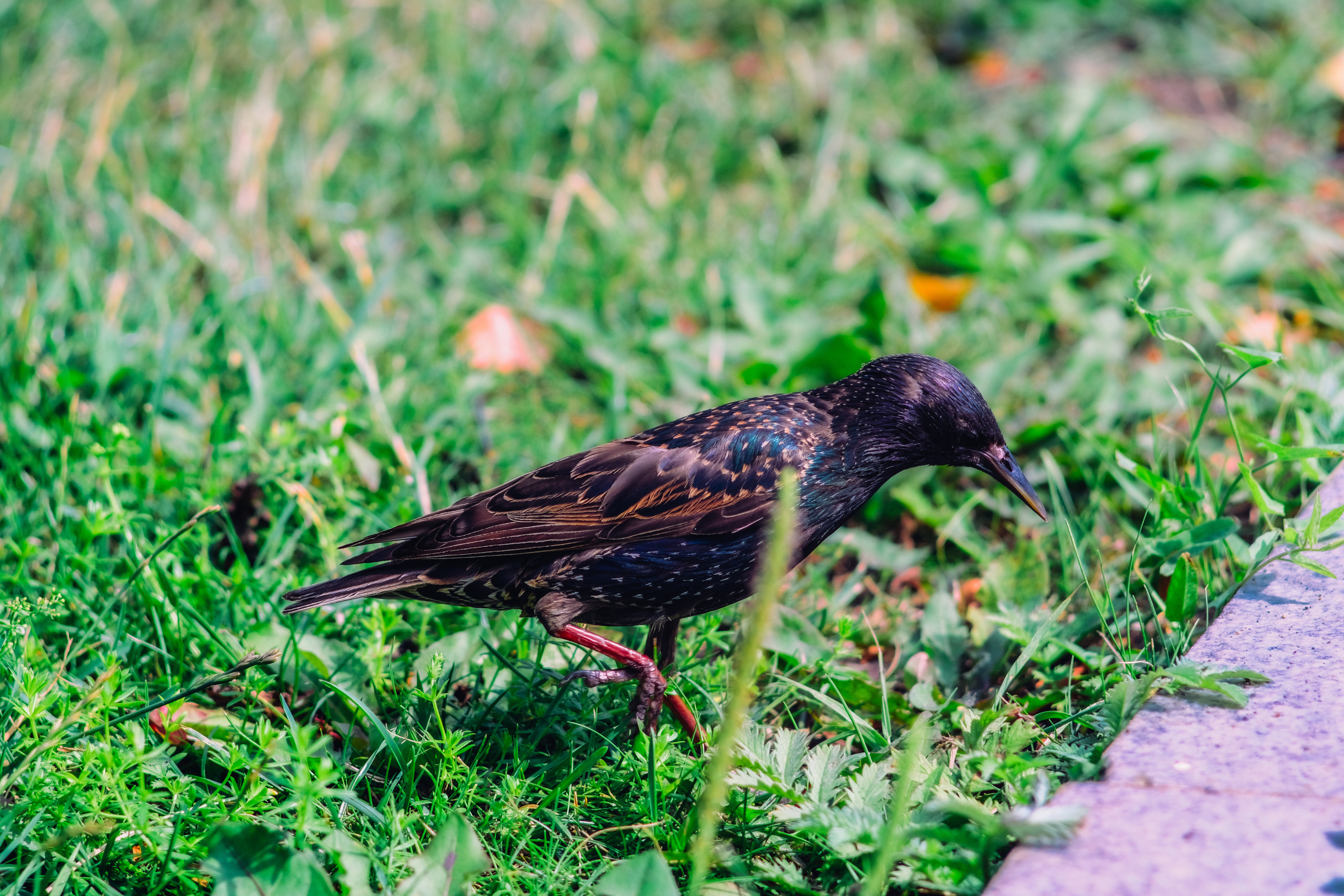 Фотограф Владимир Кононенко