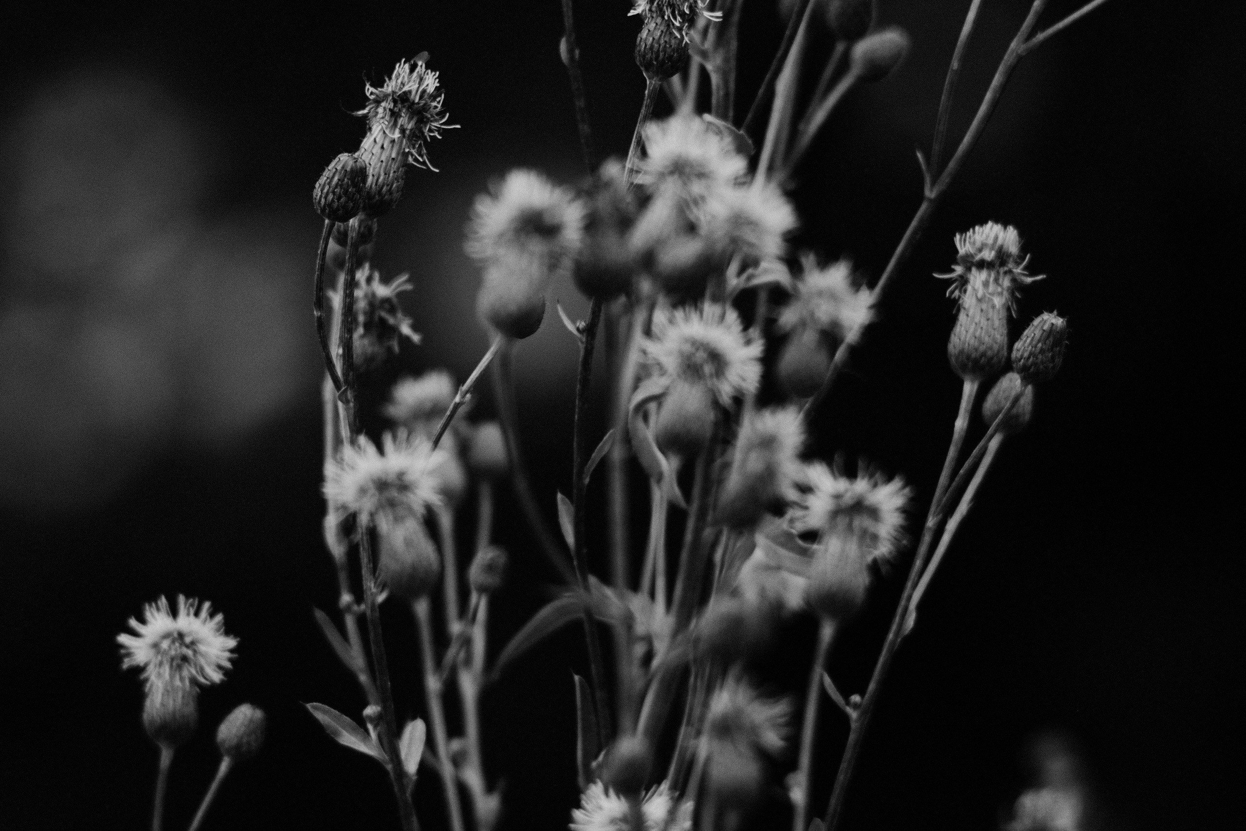 Фотограф Владимир Кононенко