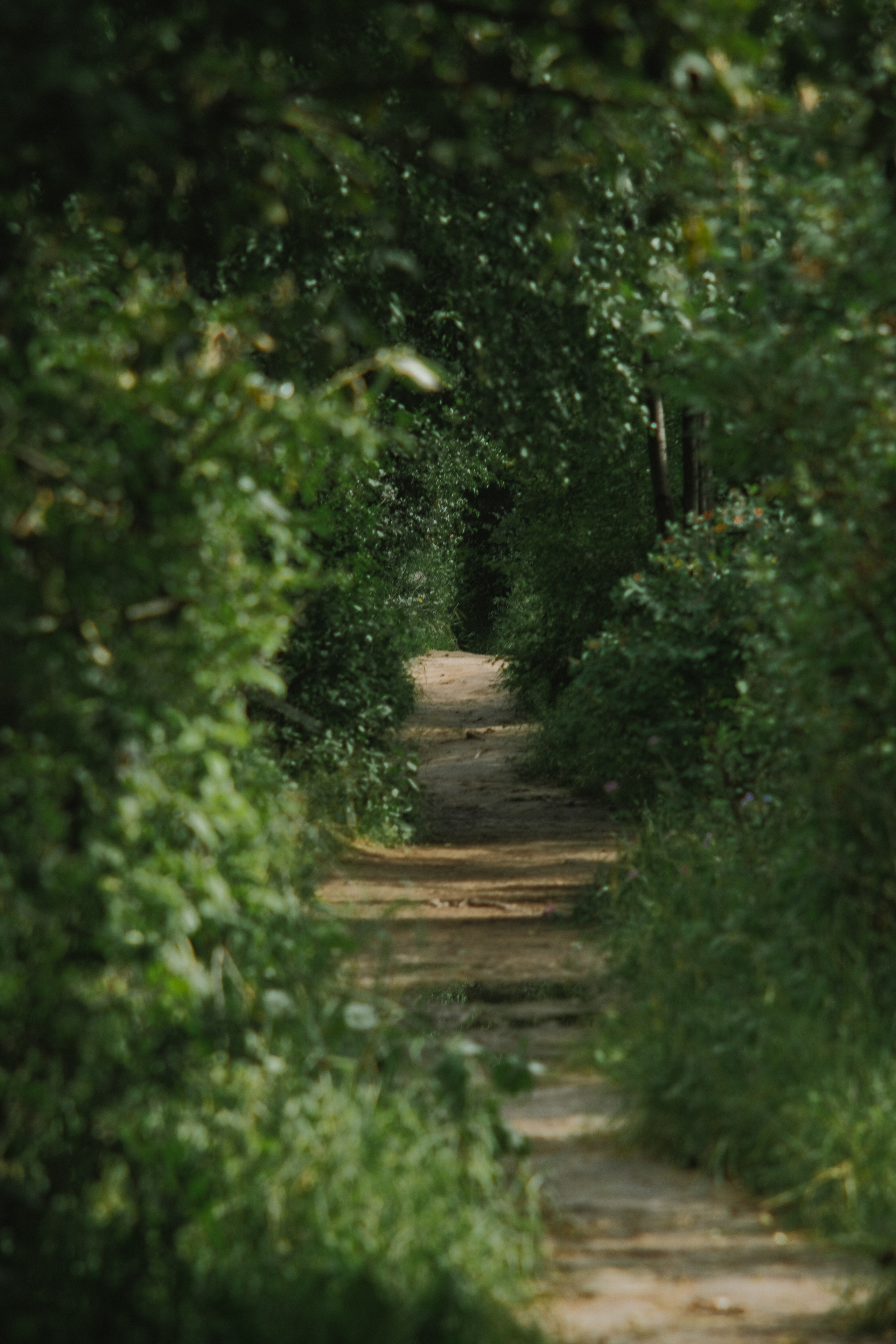 Фотограф Владимир Кононенко