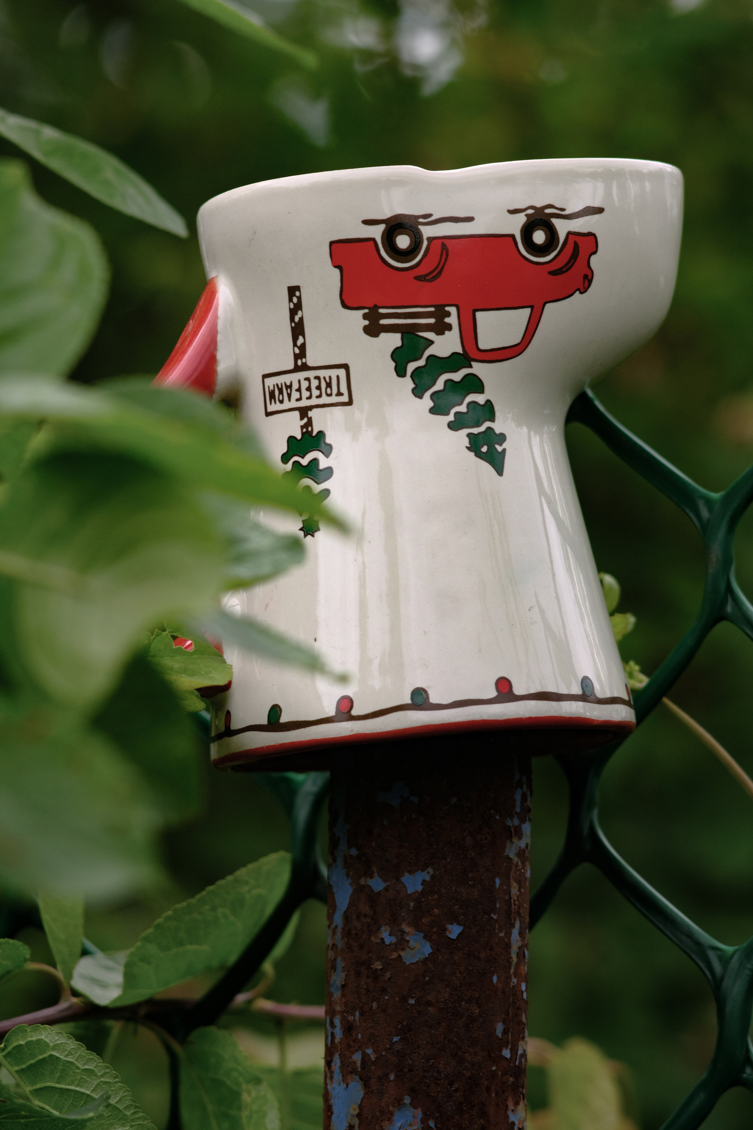 Фотограф Владимир Кононенко