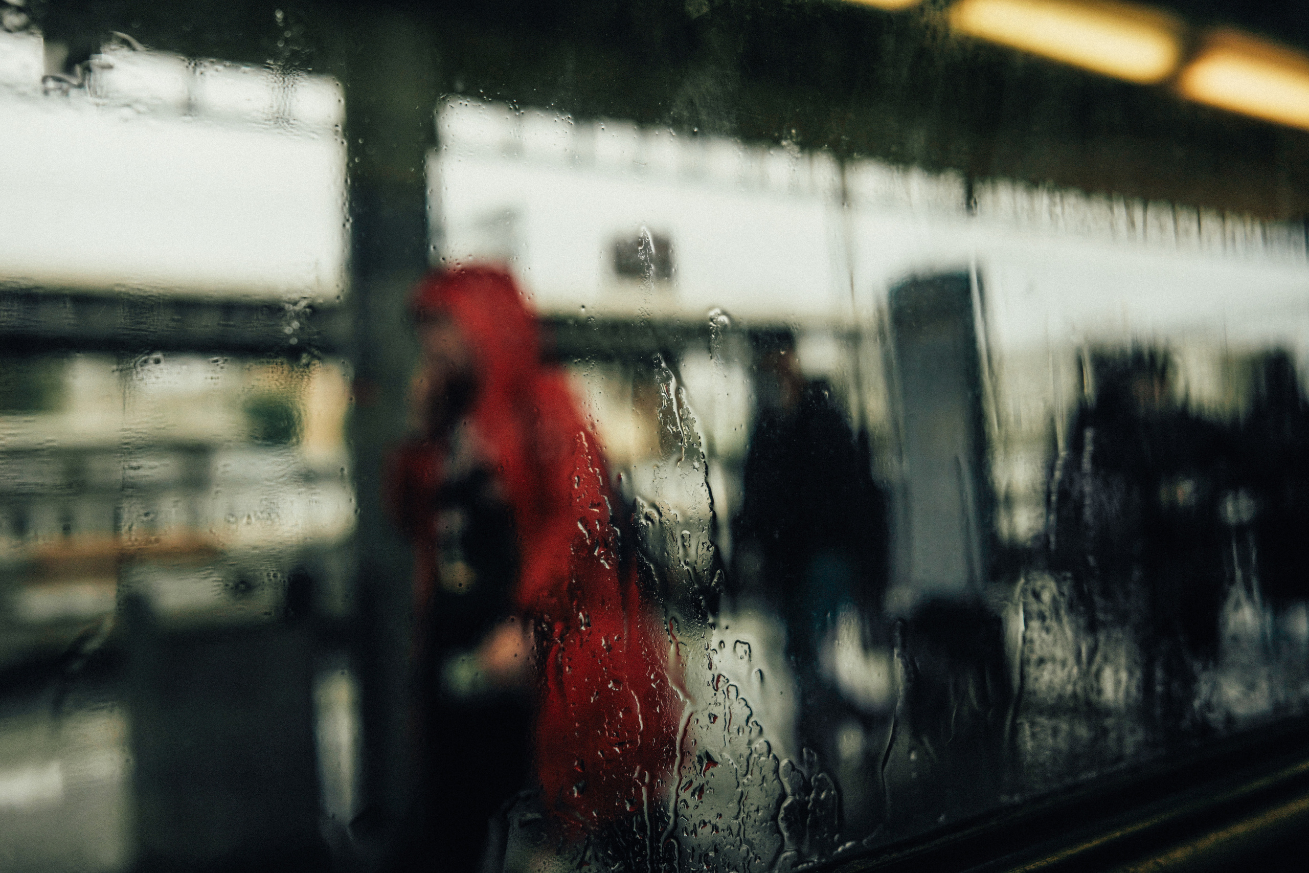 Фотограф Владимир Кононенко