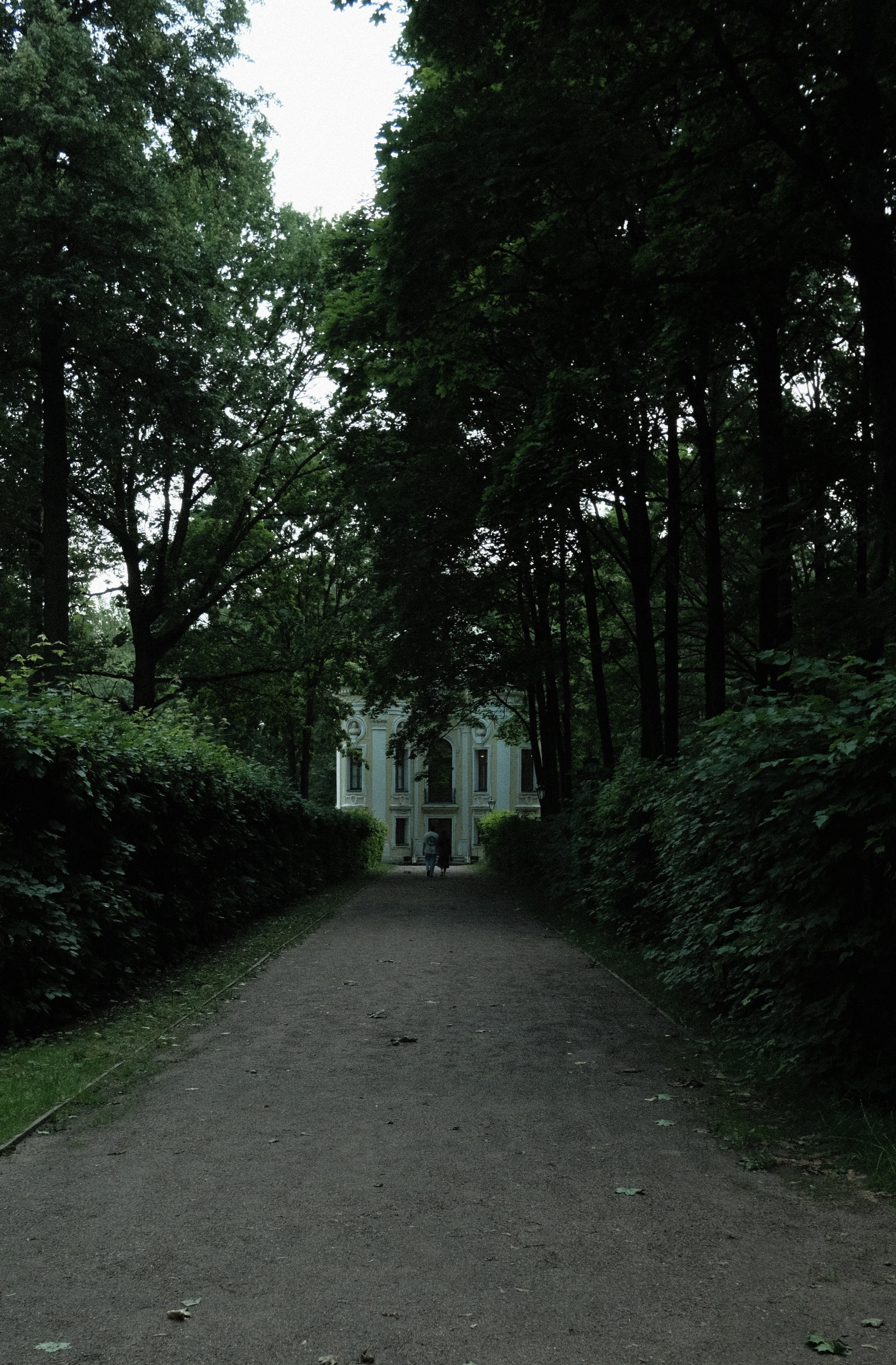 Фотограф Владимир Кононенко