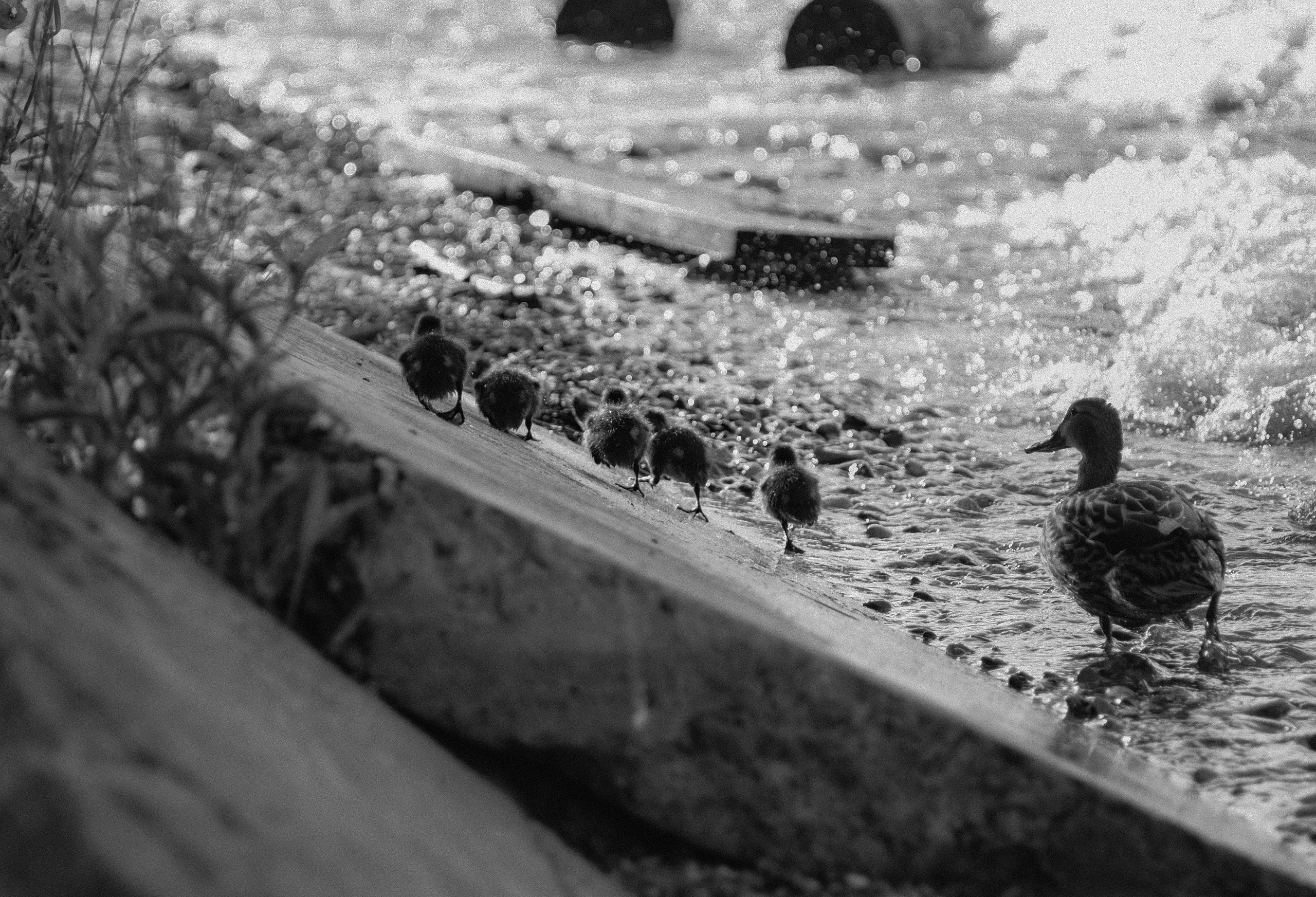 Фотограф Владимир Кононенко