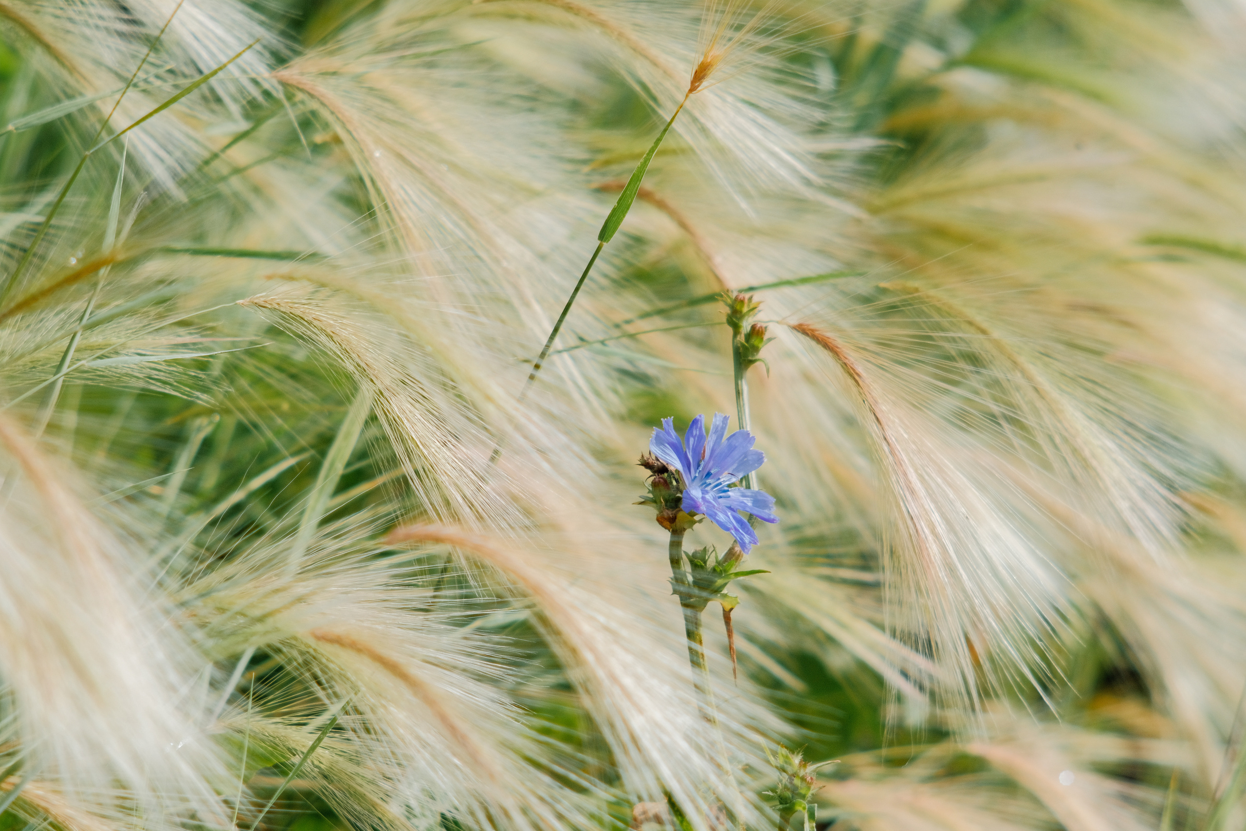 Фотограф Владимир Кононенко