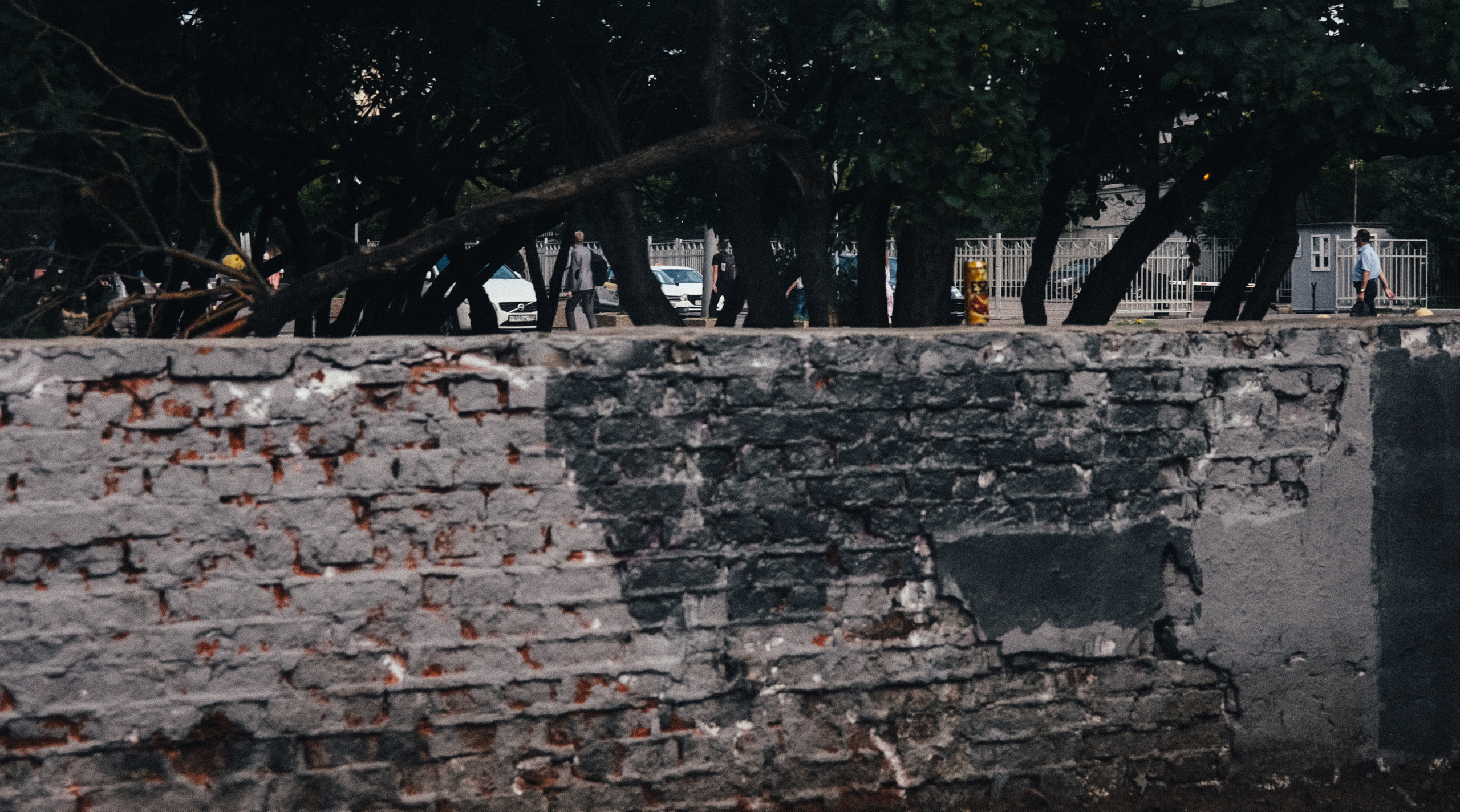 Фотограф Владимир Кононенко