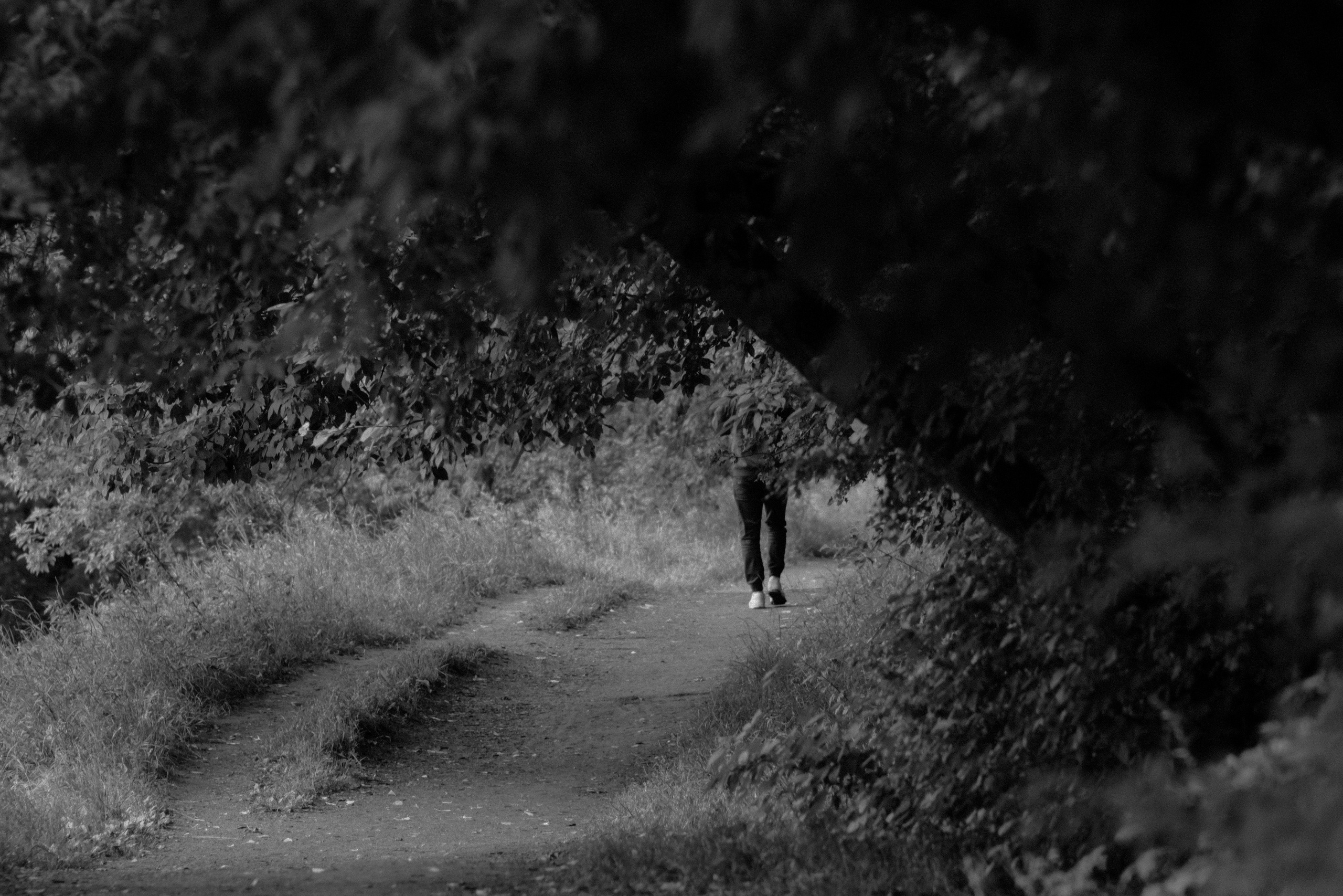 Фотограф Владимир Кононенко