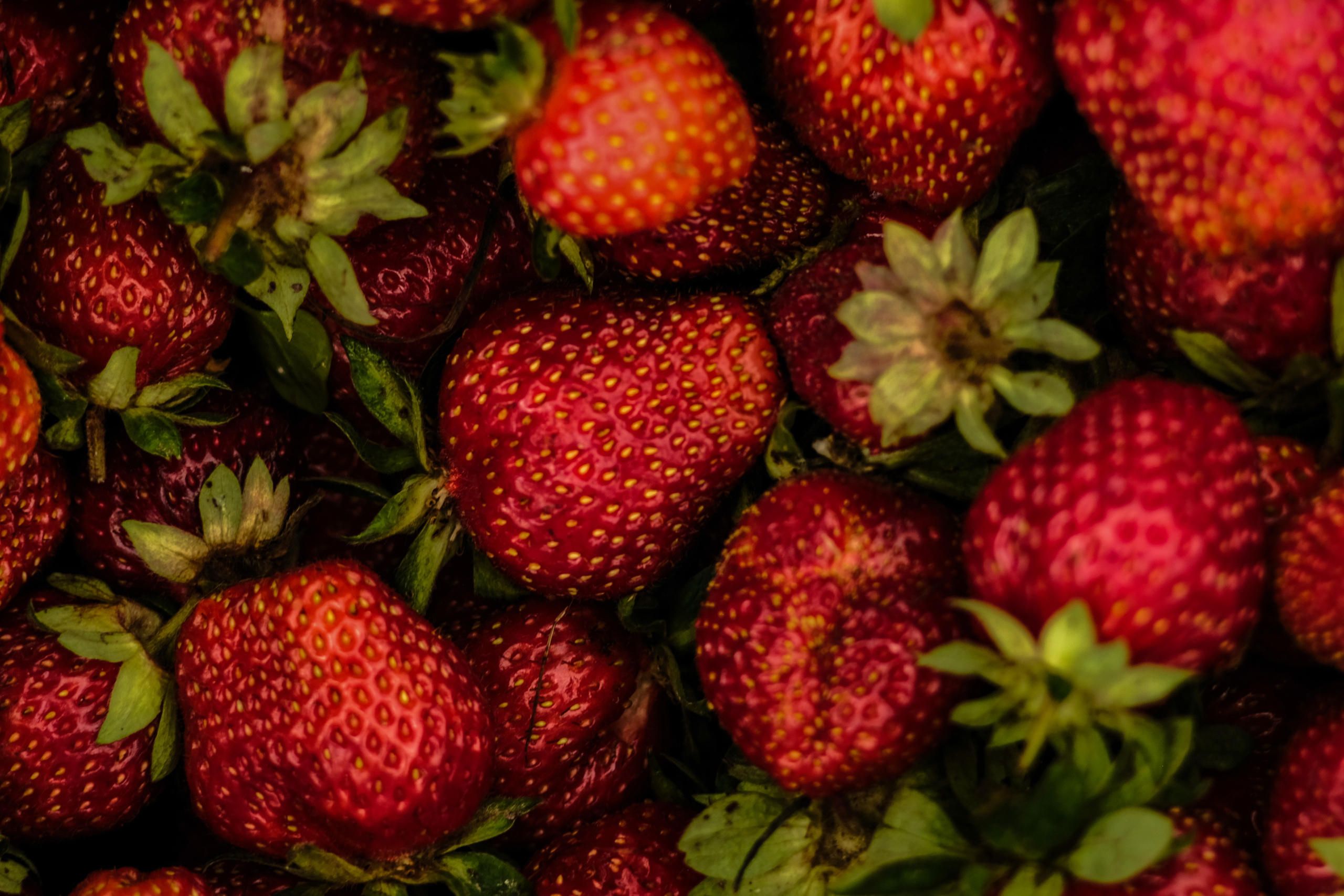 Фотограф Владимир Кононенко