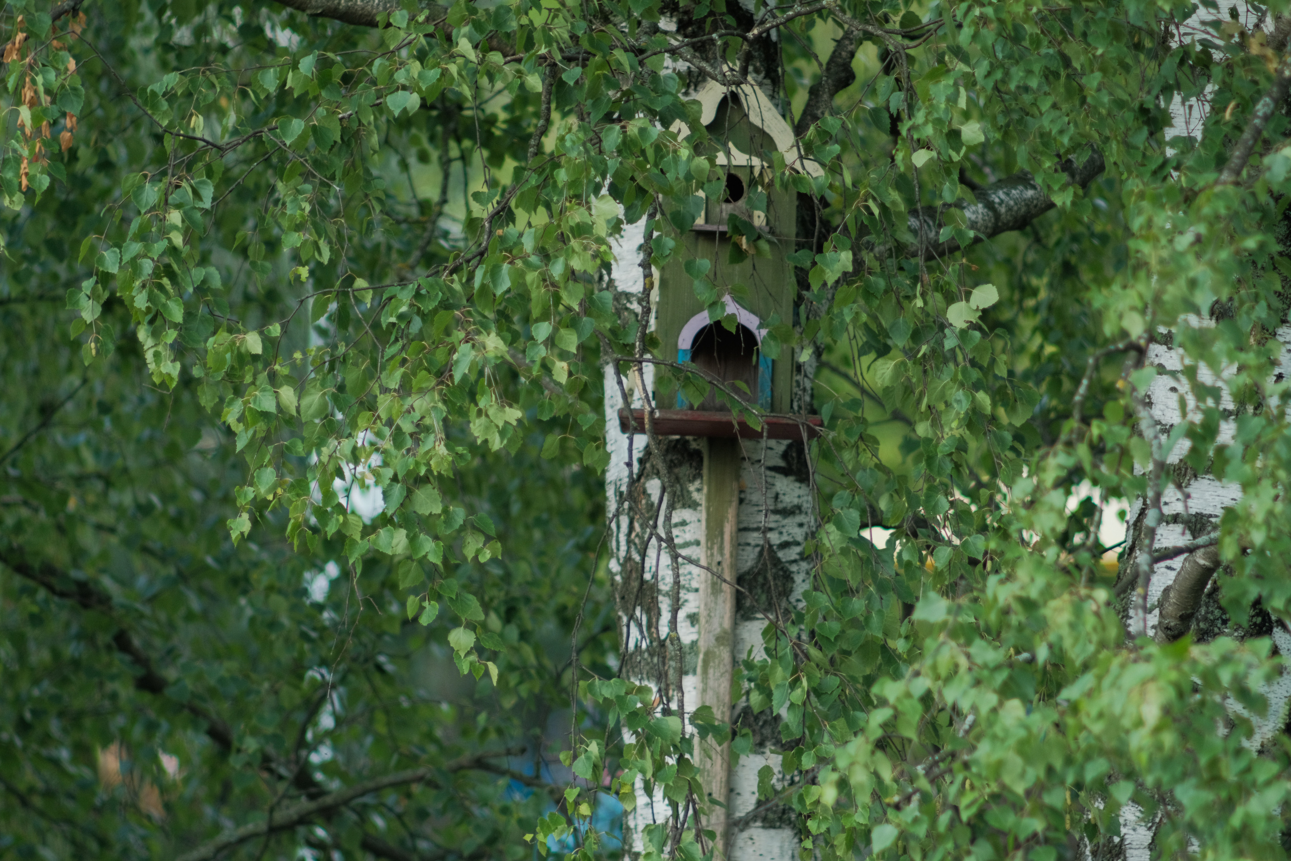 Фотограф Владимир Кононенко