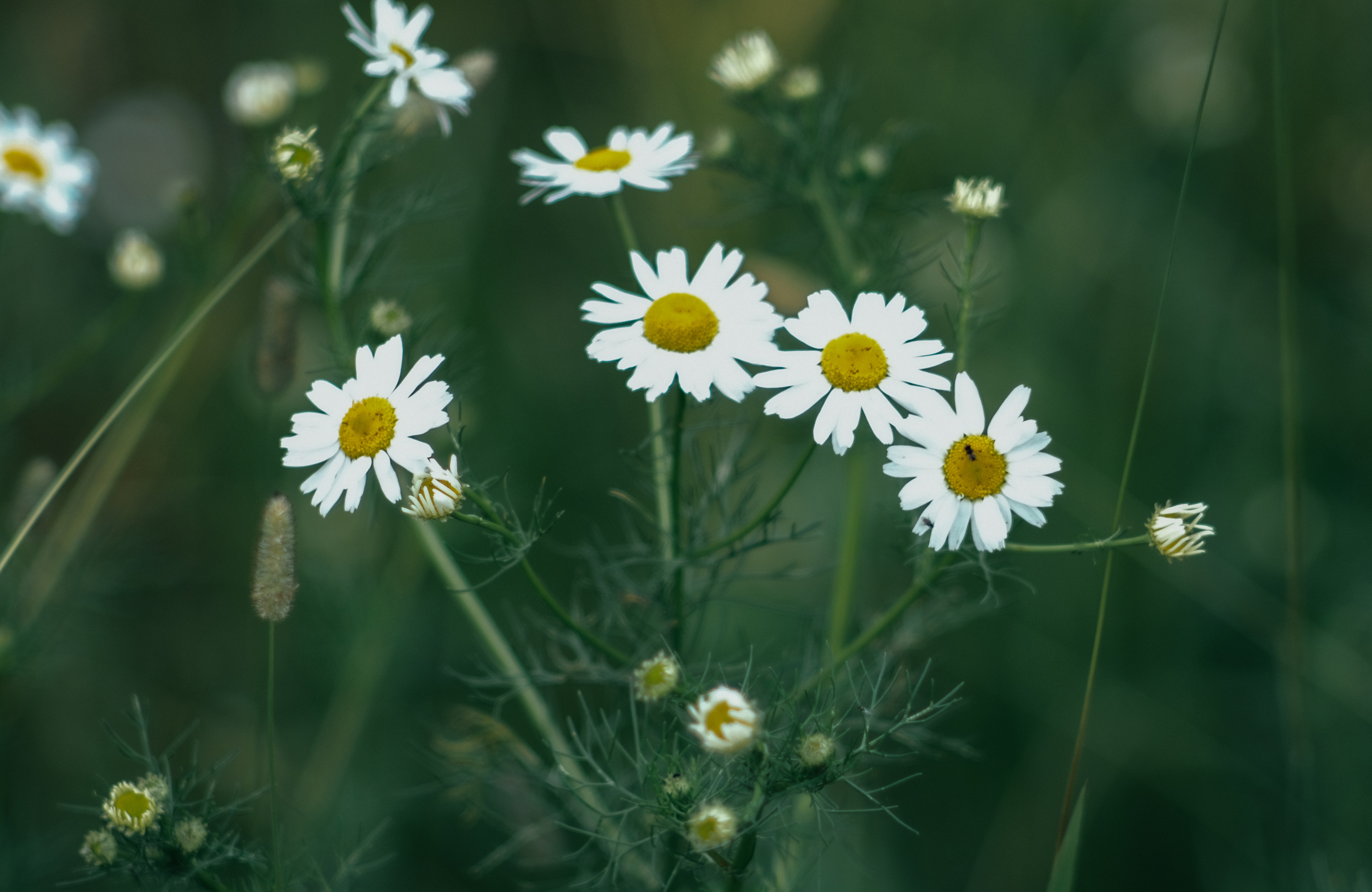 Фотограф Владимир Кононенко