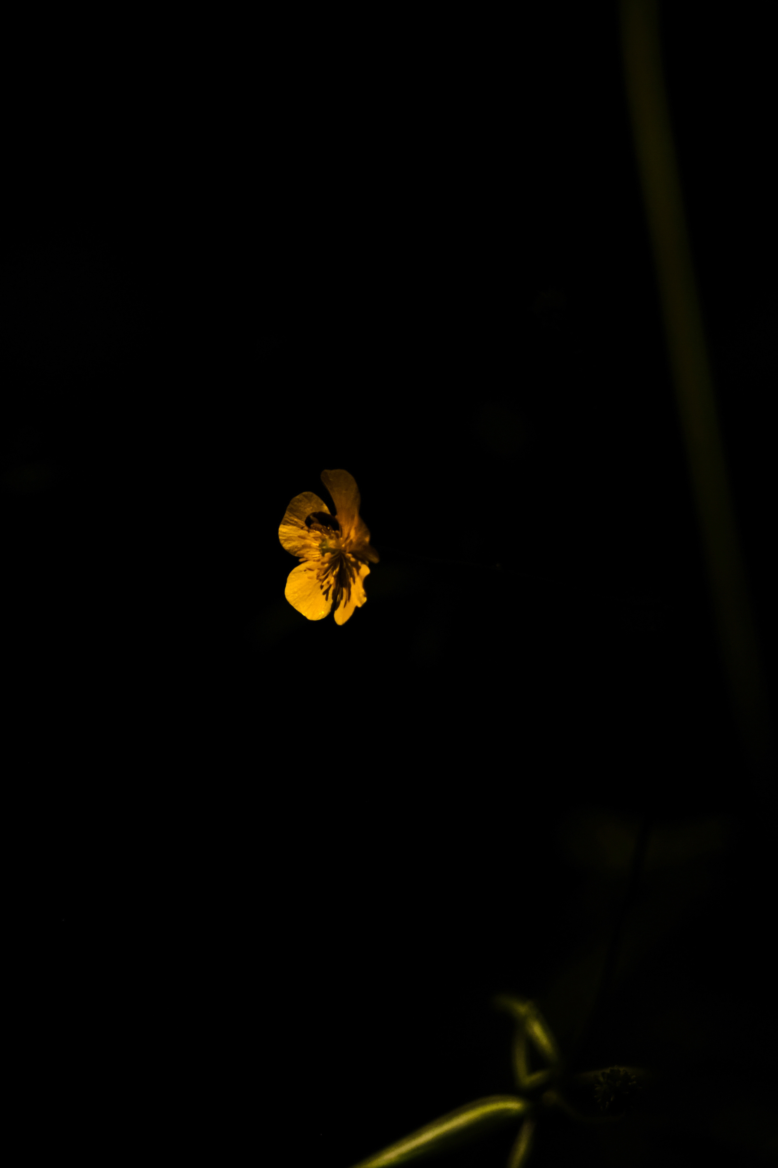 Фотограф Владимир Кононенко