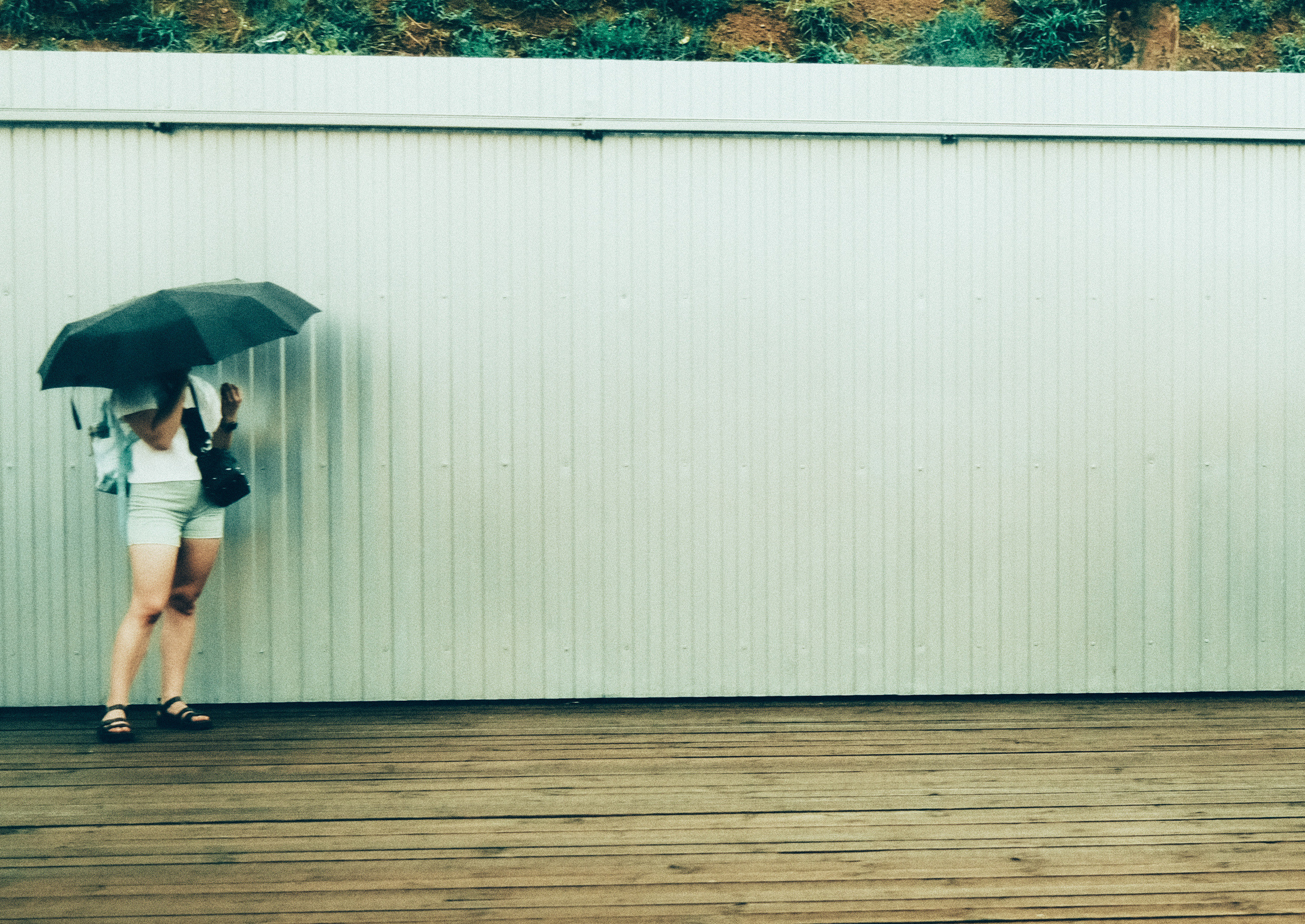 Фотограф Владимир Кононенко