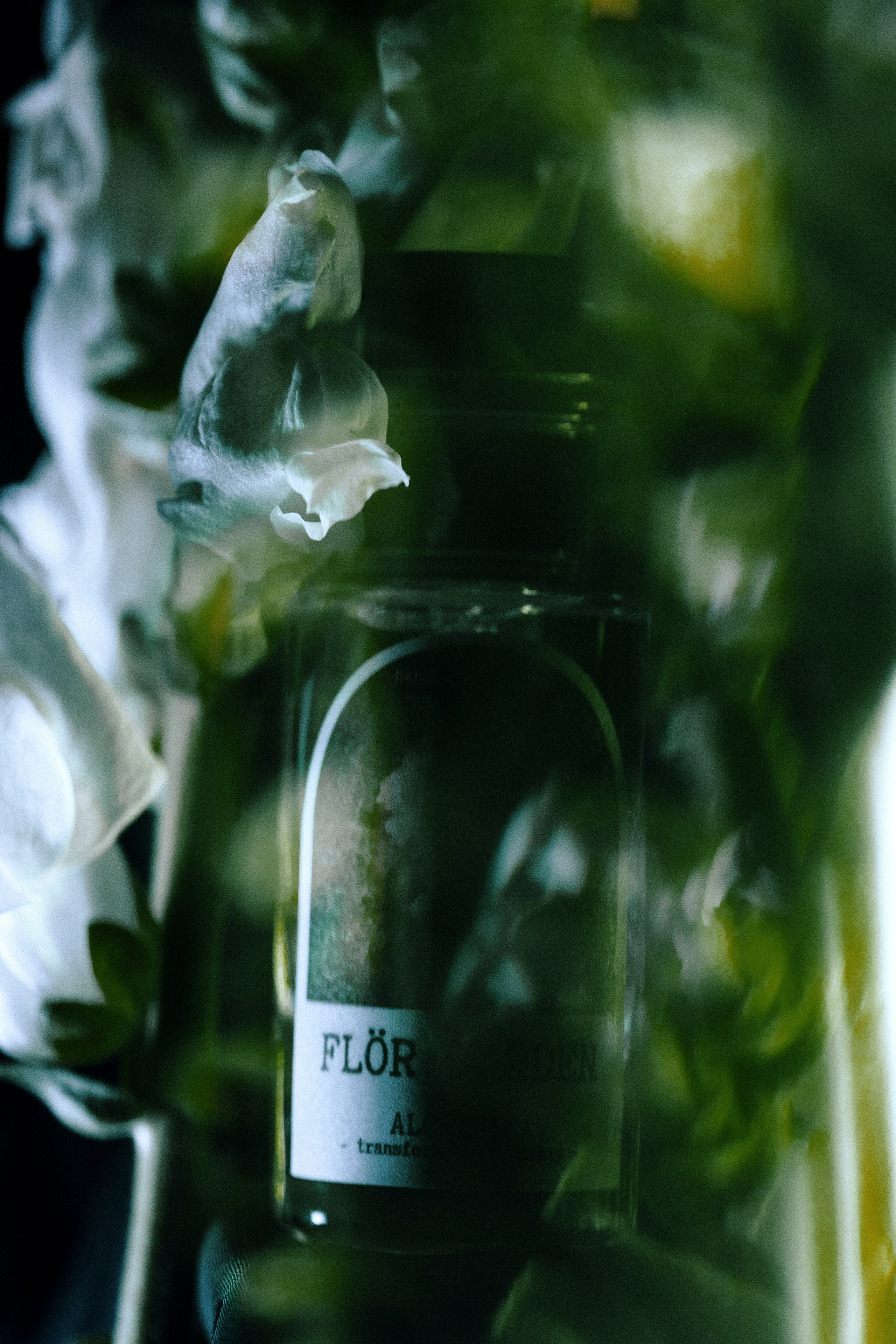 FRAGRANCE. Анна Ульянова