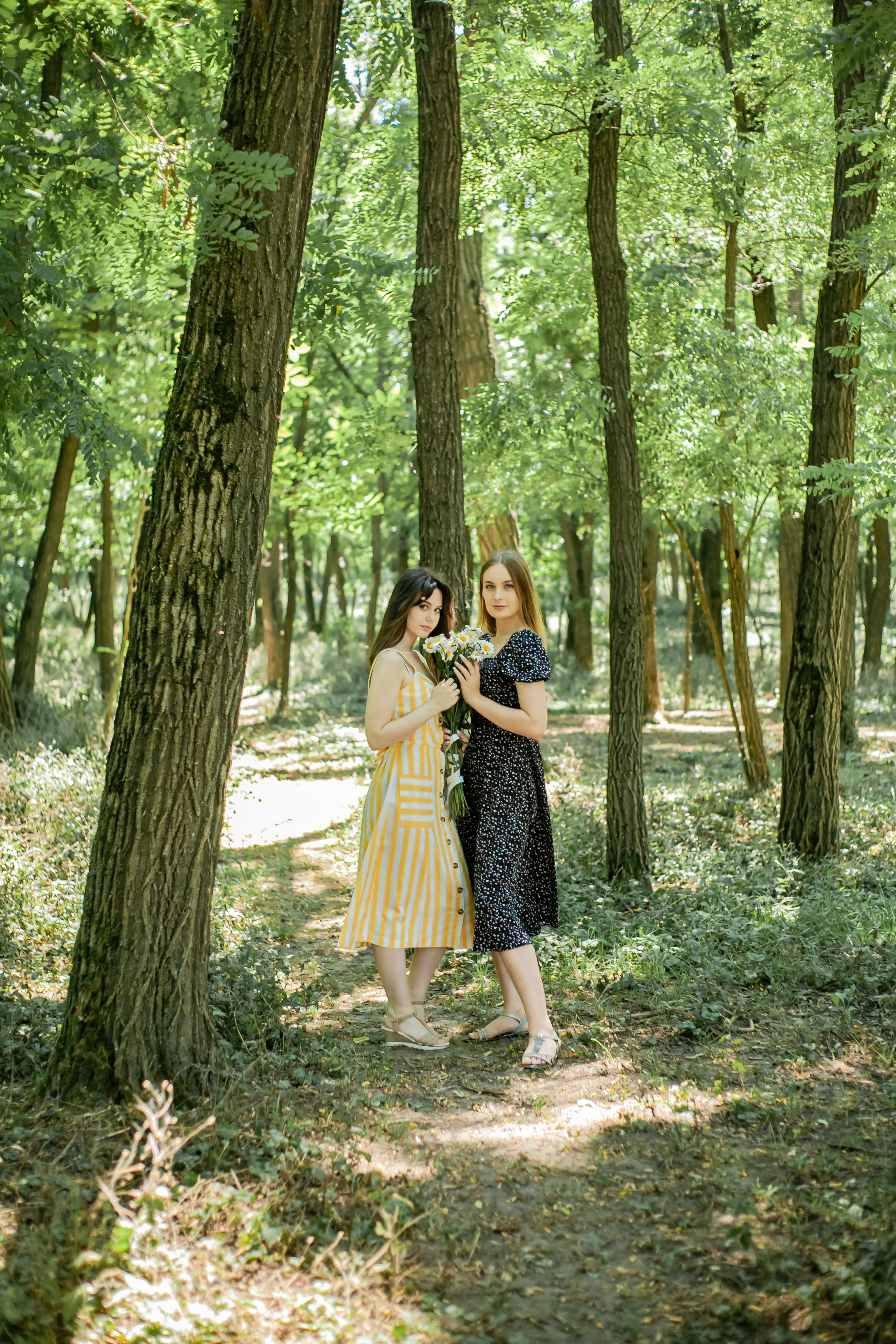 Прогулка с Лошадьми. Свадебный и семейный фотограф в Армавире