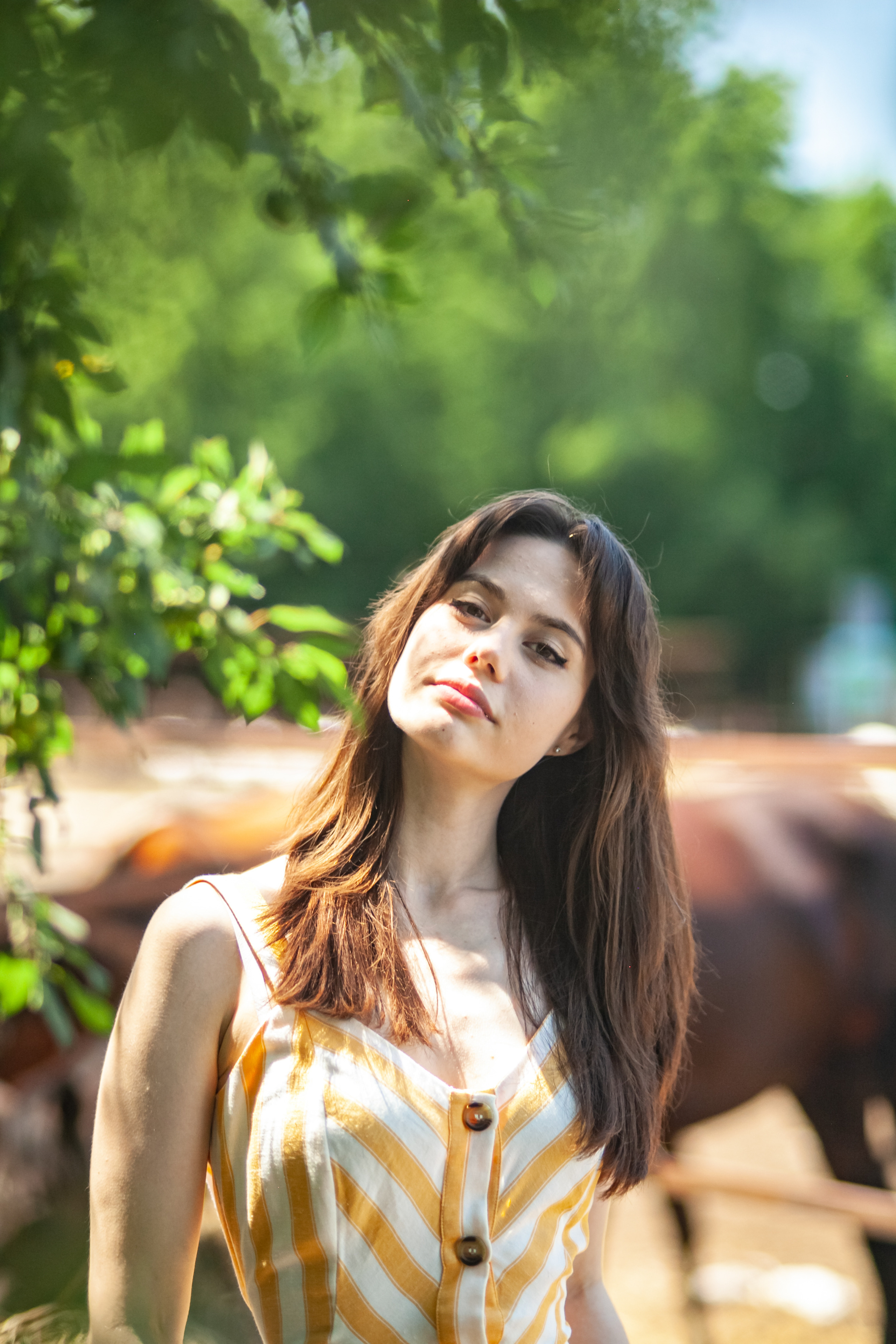 Прогулка с Лошадьми. Свадебный и семейный фотограф в Армавире