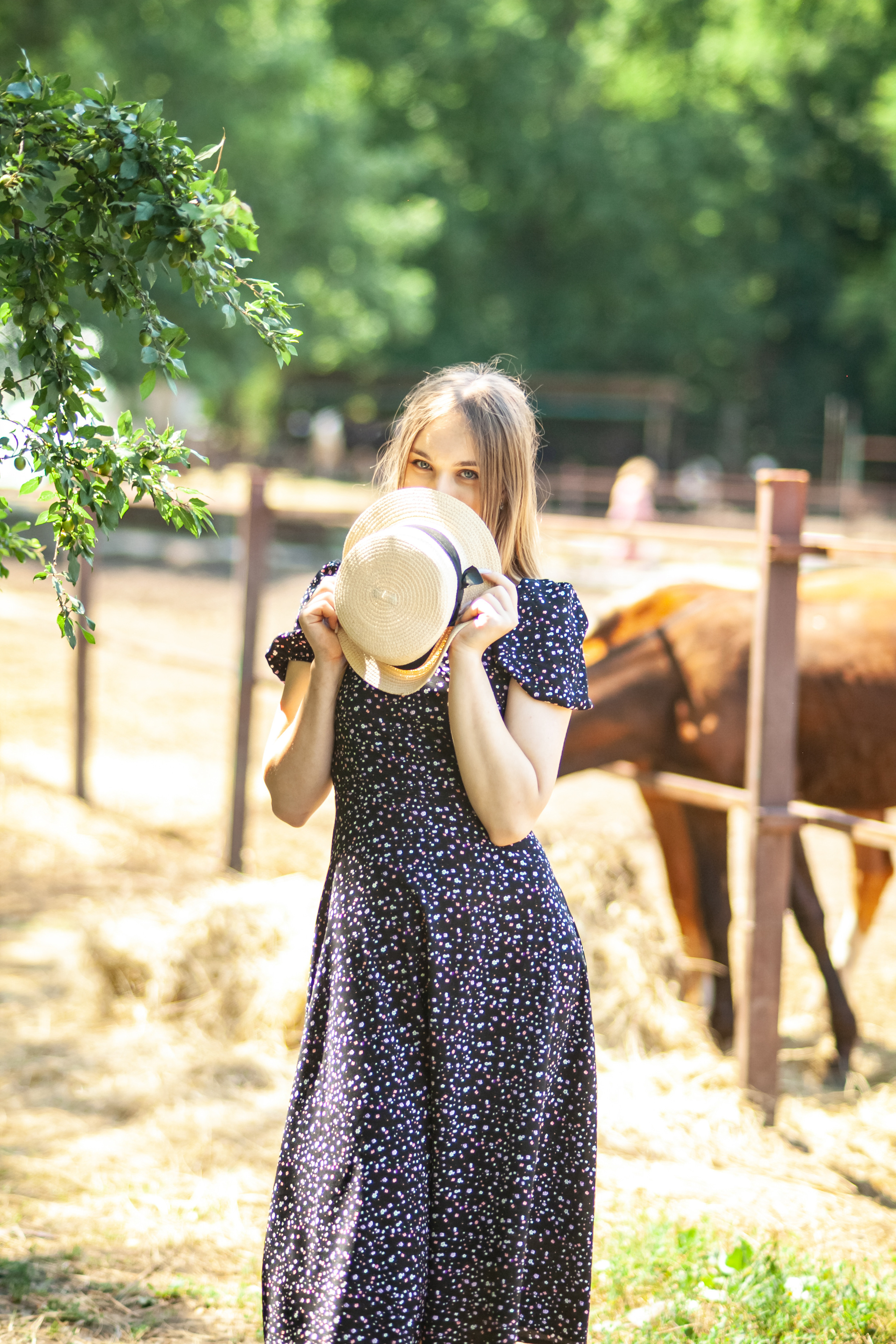 Прогулка с Лошадьми. Свадебный и семейный фотограф в Армавире