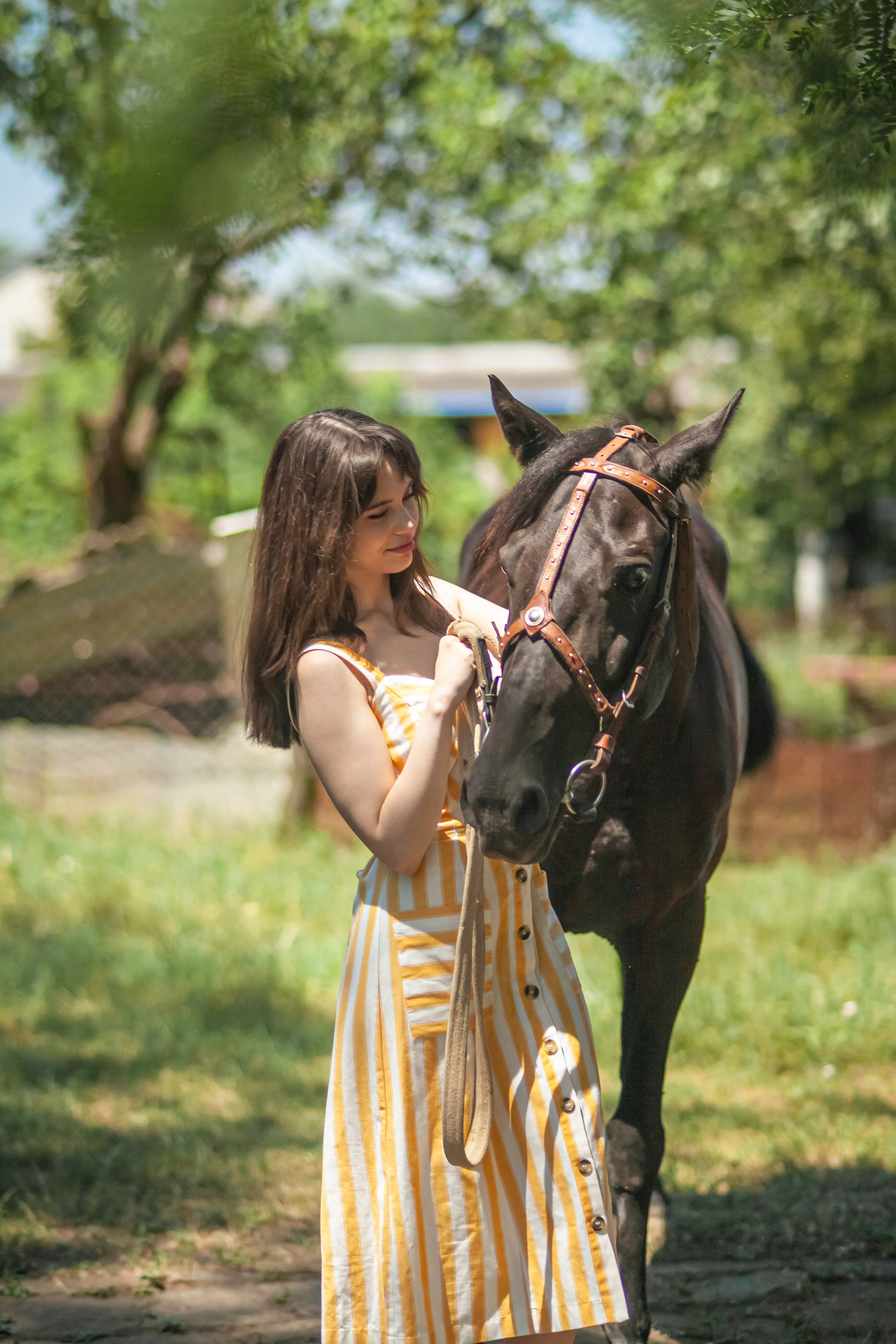 Прогулка с Лошадьми. Свадебный и семейный фотограф в Армавире