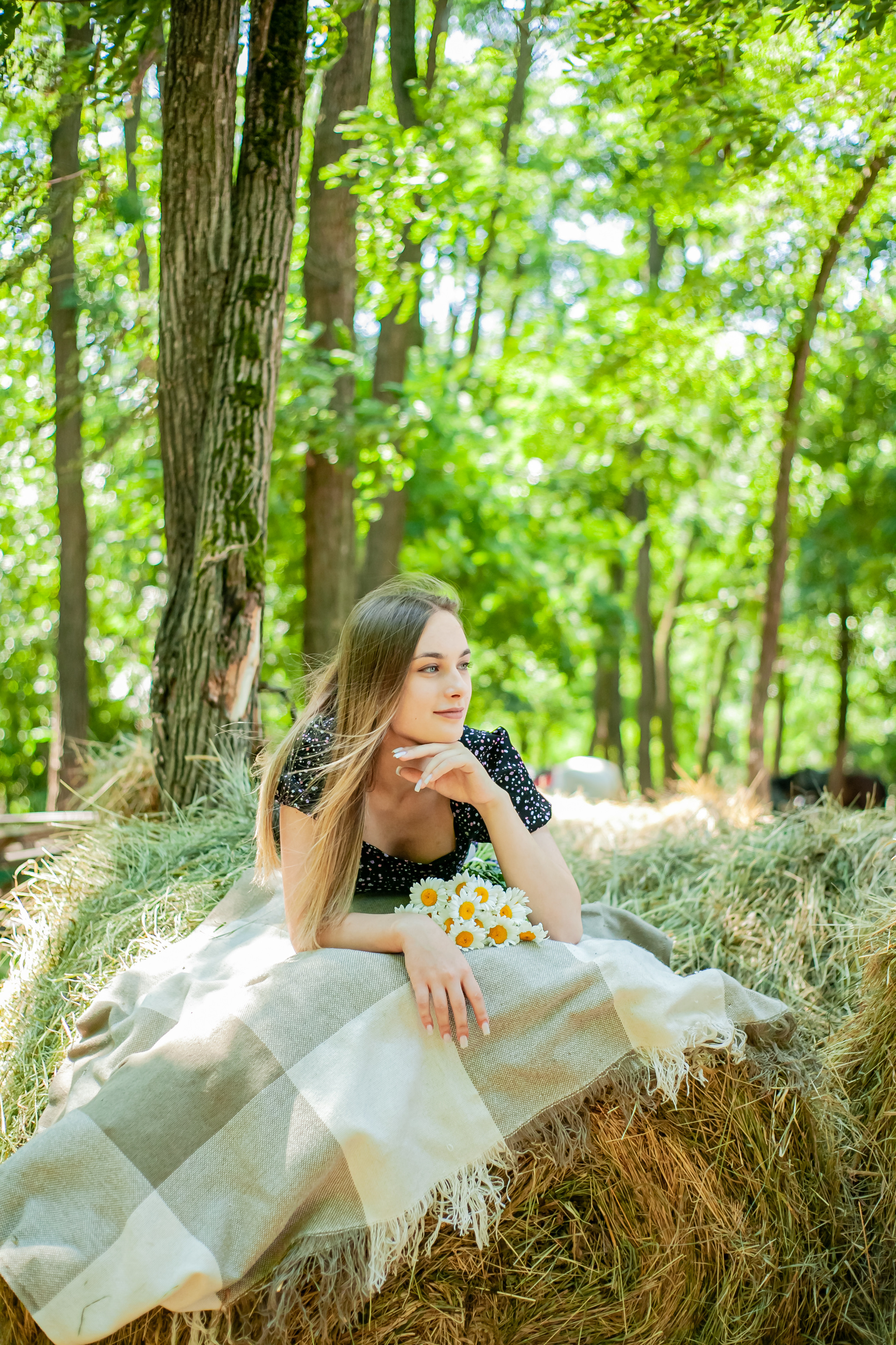 Прогулка с Лошадьми. Свадебный и семейный фотограф в Армавире