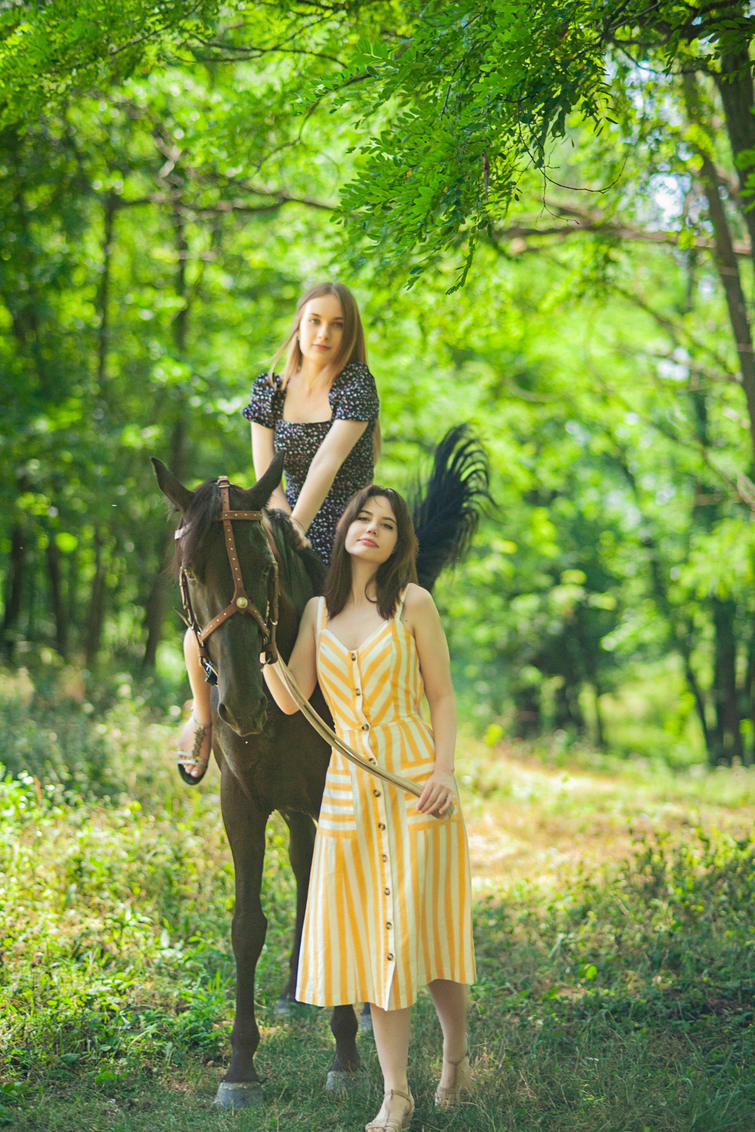 Прогулка с Лошадьми. Свадебный и семейный фотограф в Армавире