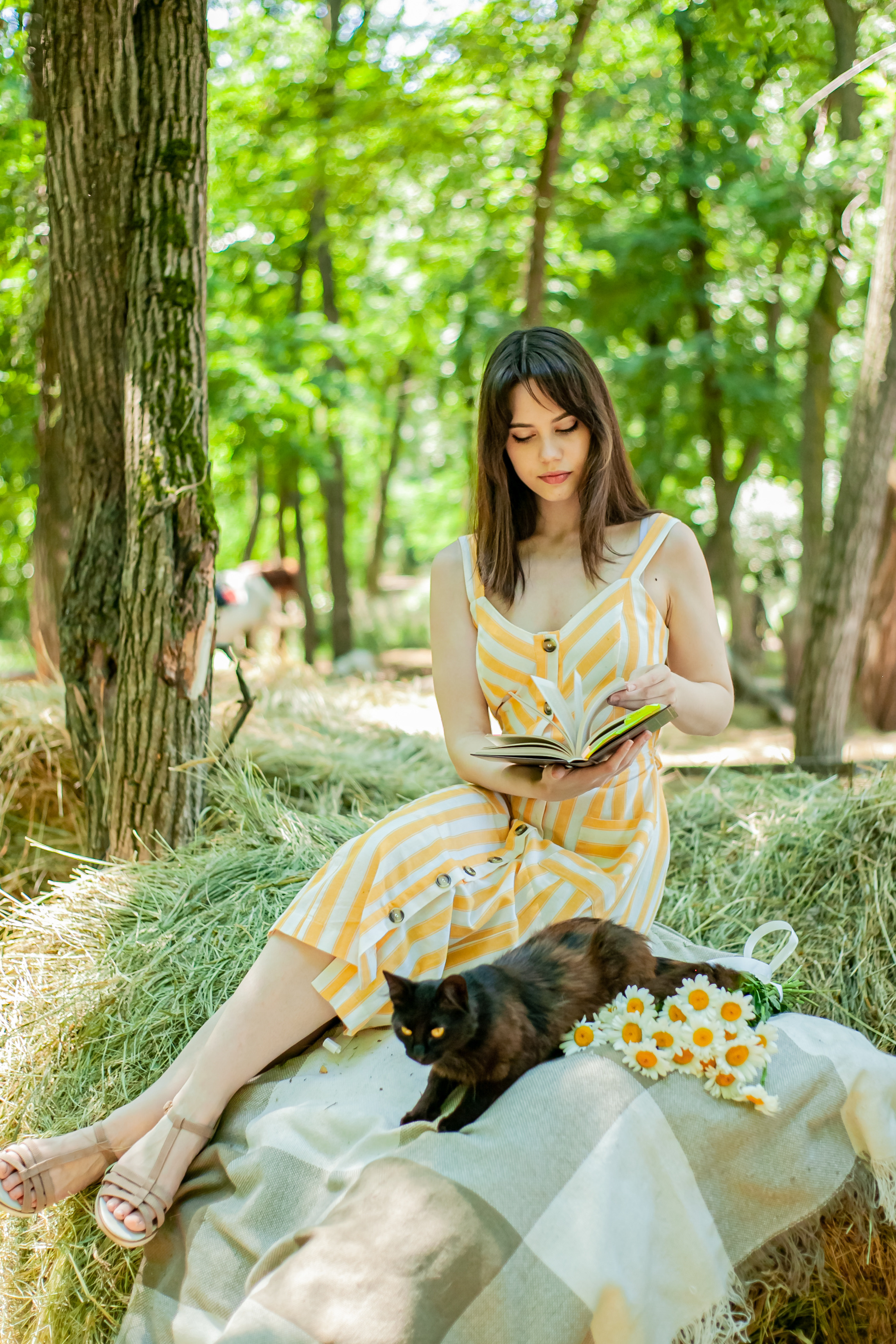 Прогулка с Лошадьми. Свадебный и семейный фотограф в Армавире