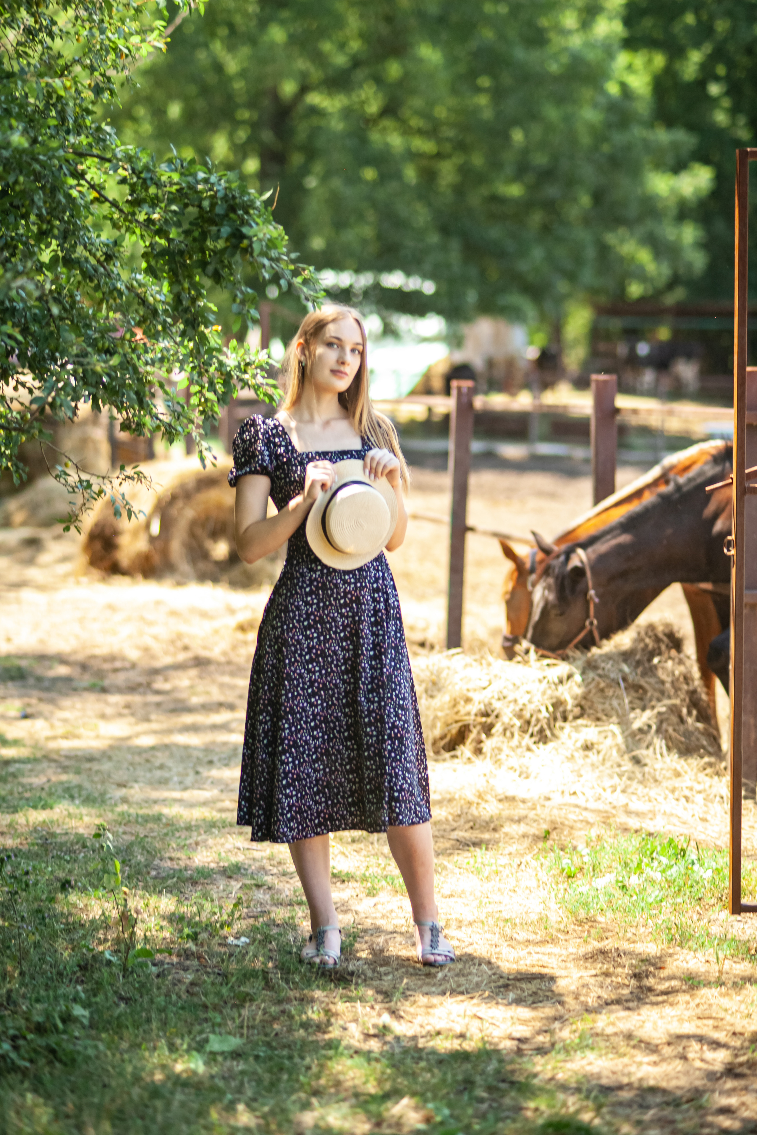 Прогулка с Лошадьми. Свадебный и семейный фотограф в Армавире