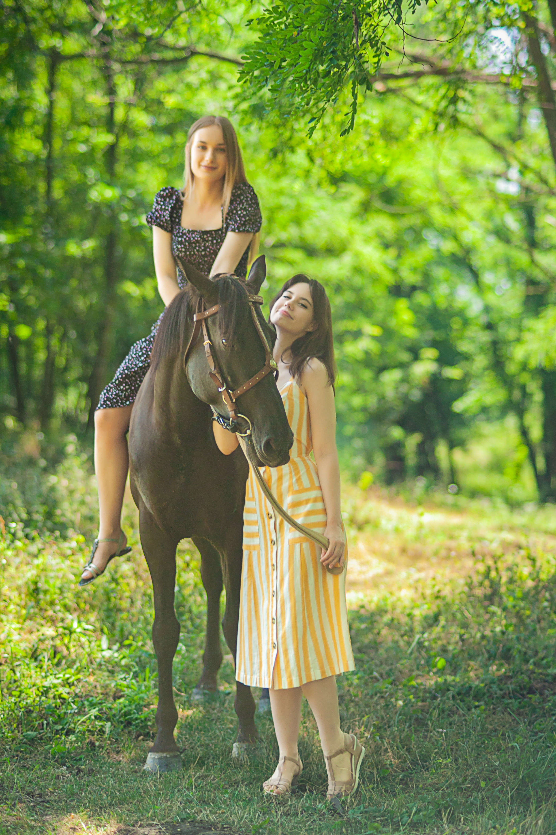 Прогулка с Лошадьми. Свадебный и семейный фотограф в Армавире