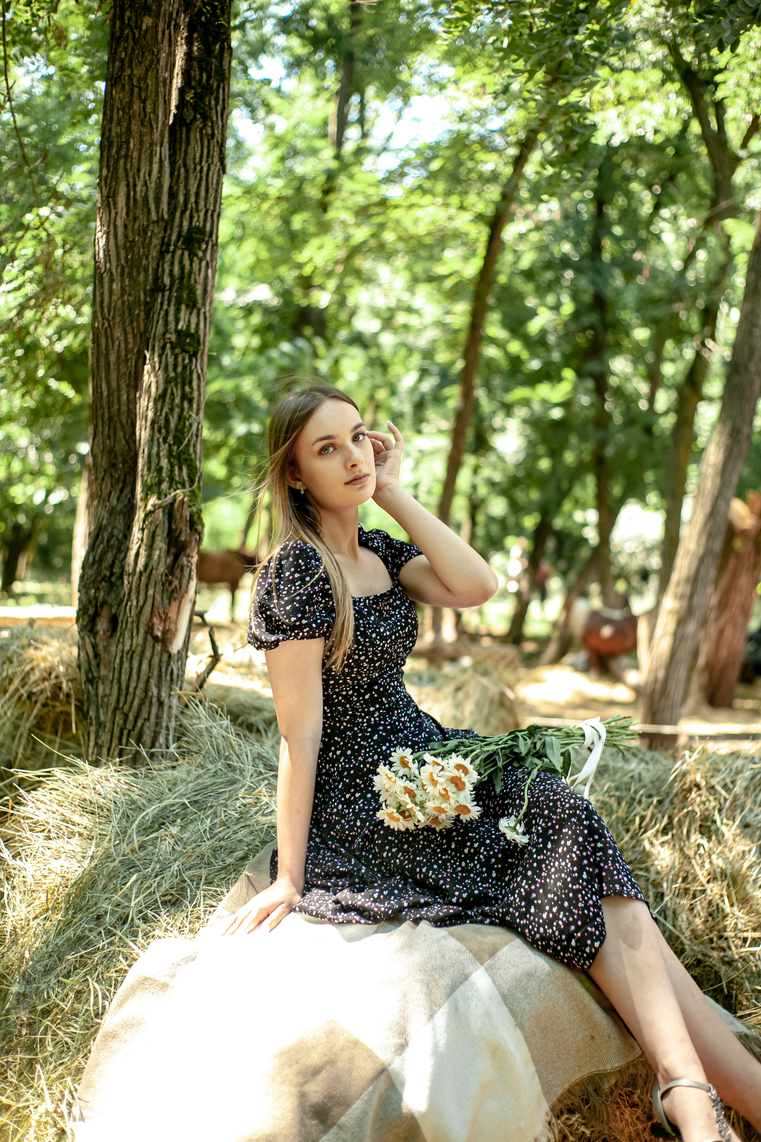 Прогулка с Лошадьми. Свадебный и семейный фотограф в Армавире