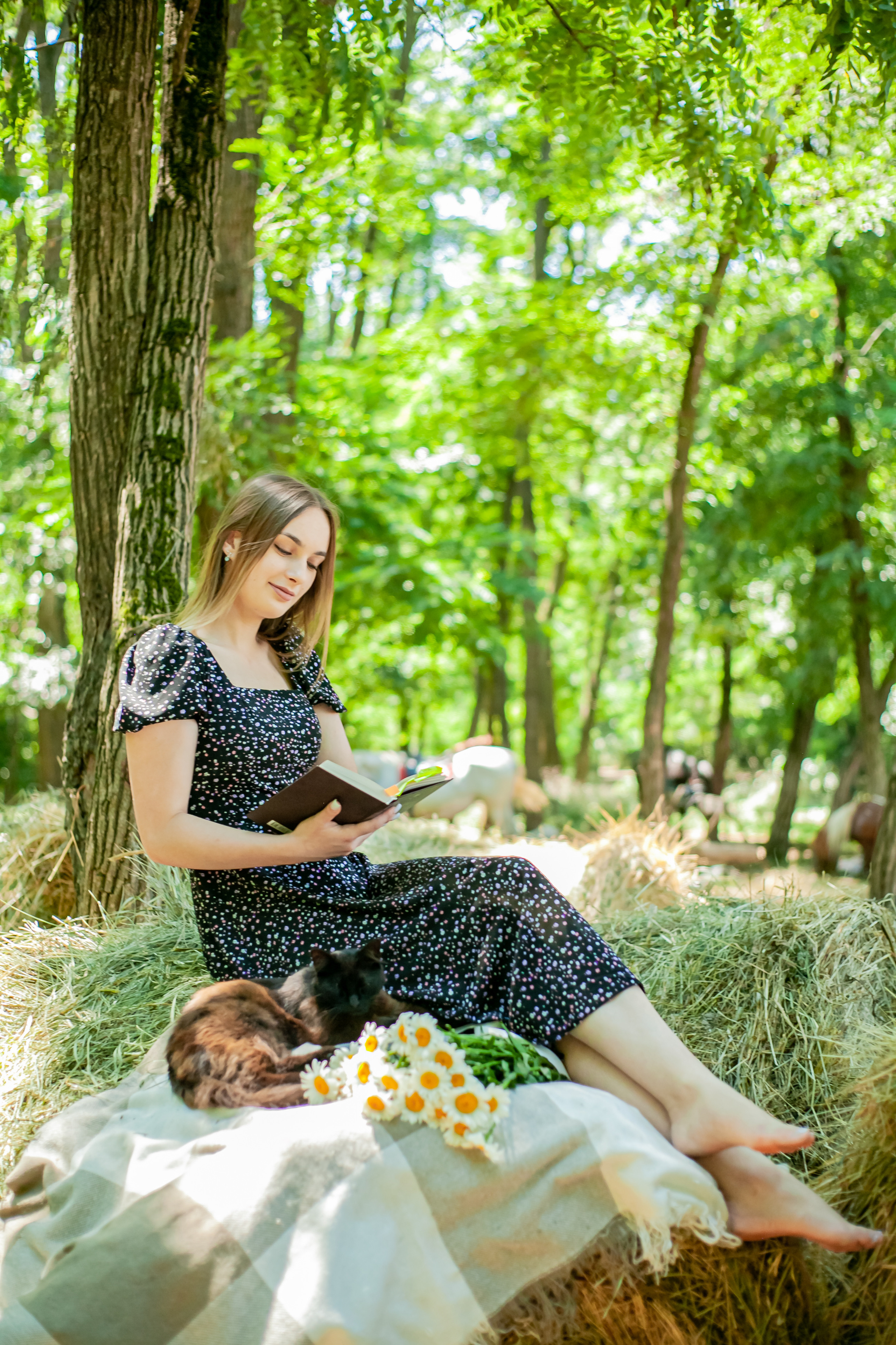 Прогулка с Лошадьми. Свадебный и семейный фотограф в Армавире