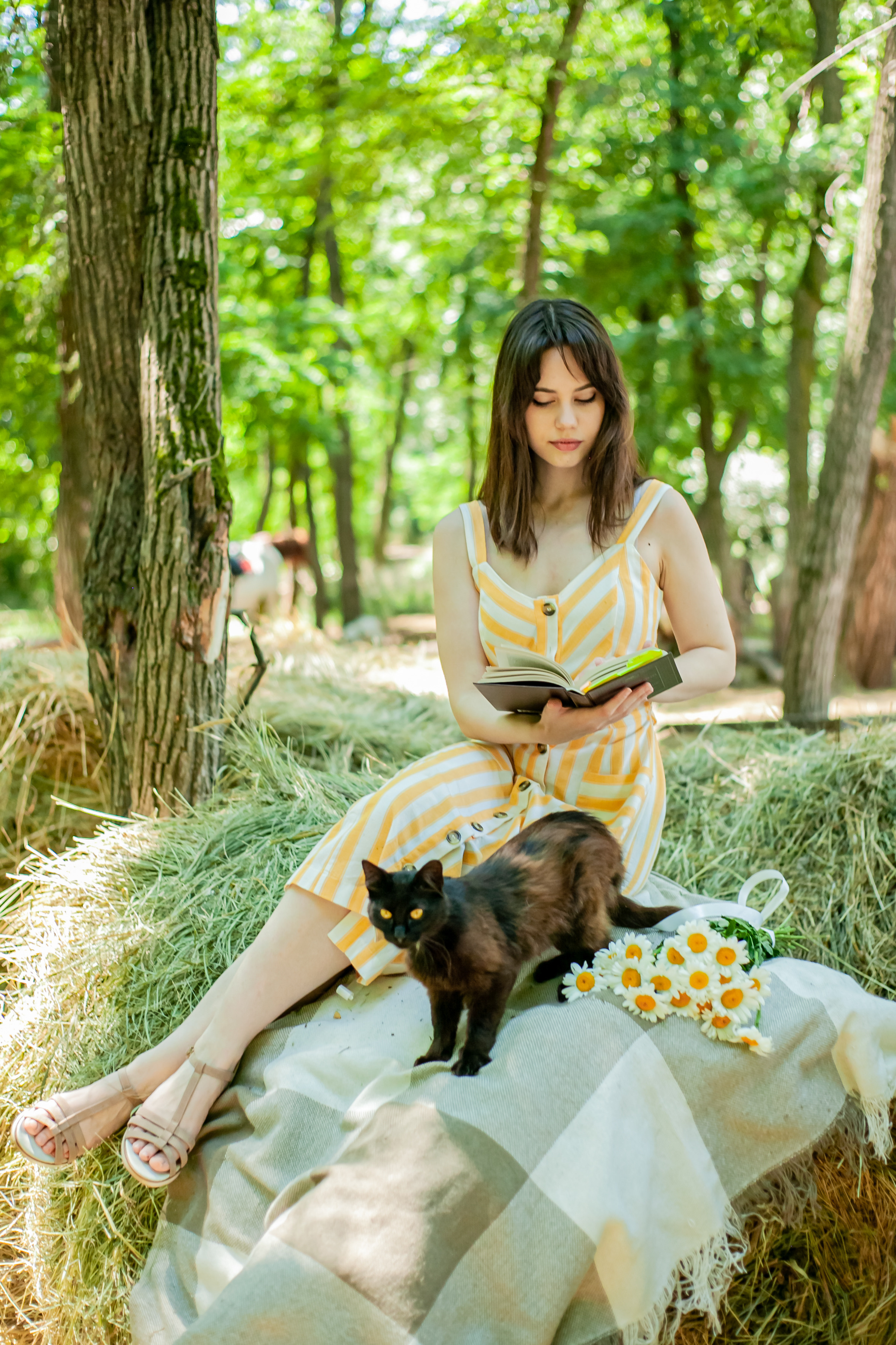 Прогулка с Лошадьми. Свадебный и семейный фотограф в Армавире