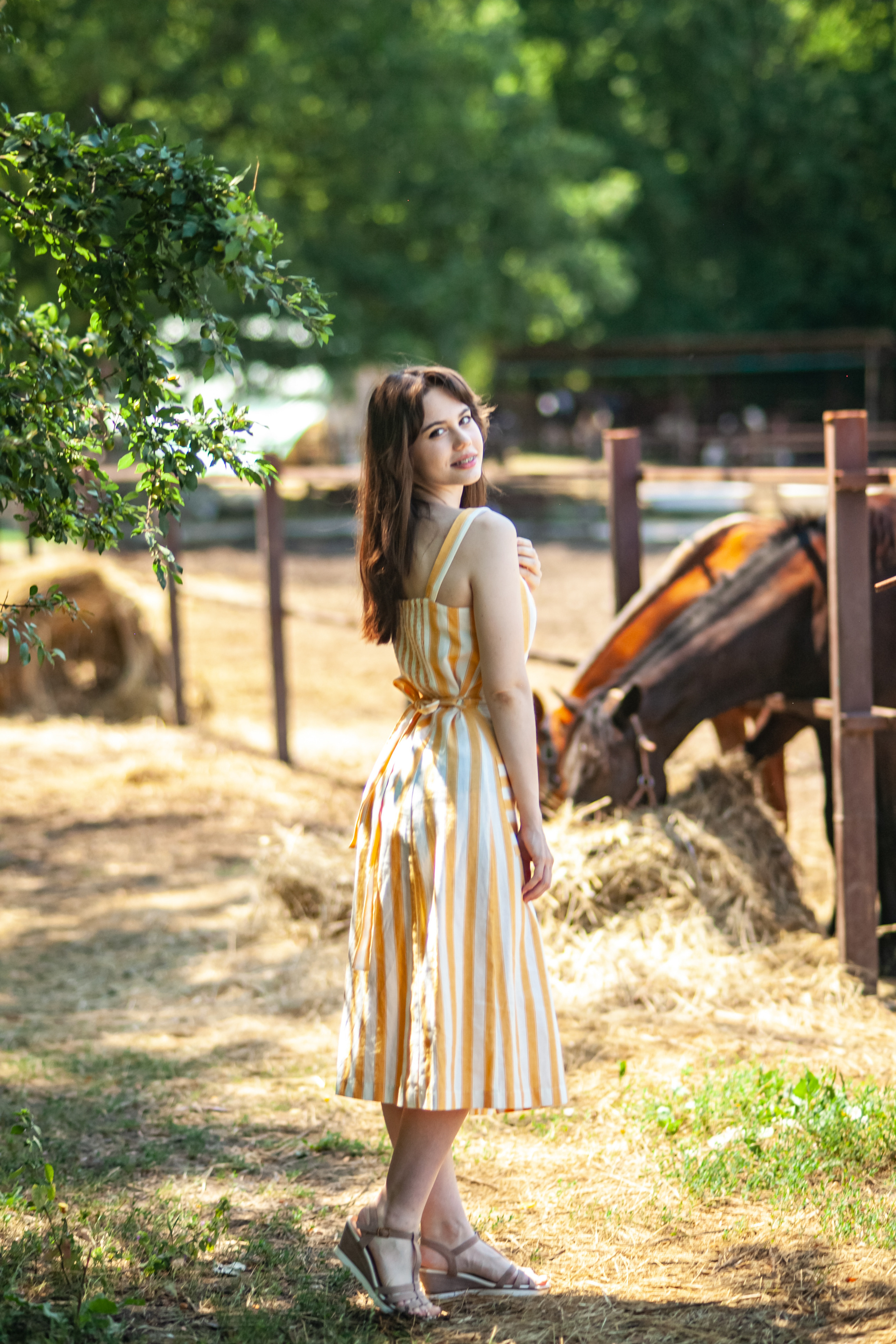 Прогулка с Лошадьми. Свадебный и семейный фотограф в Армавире