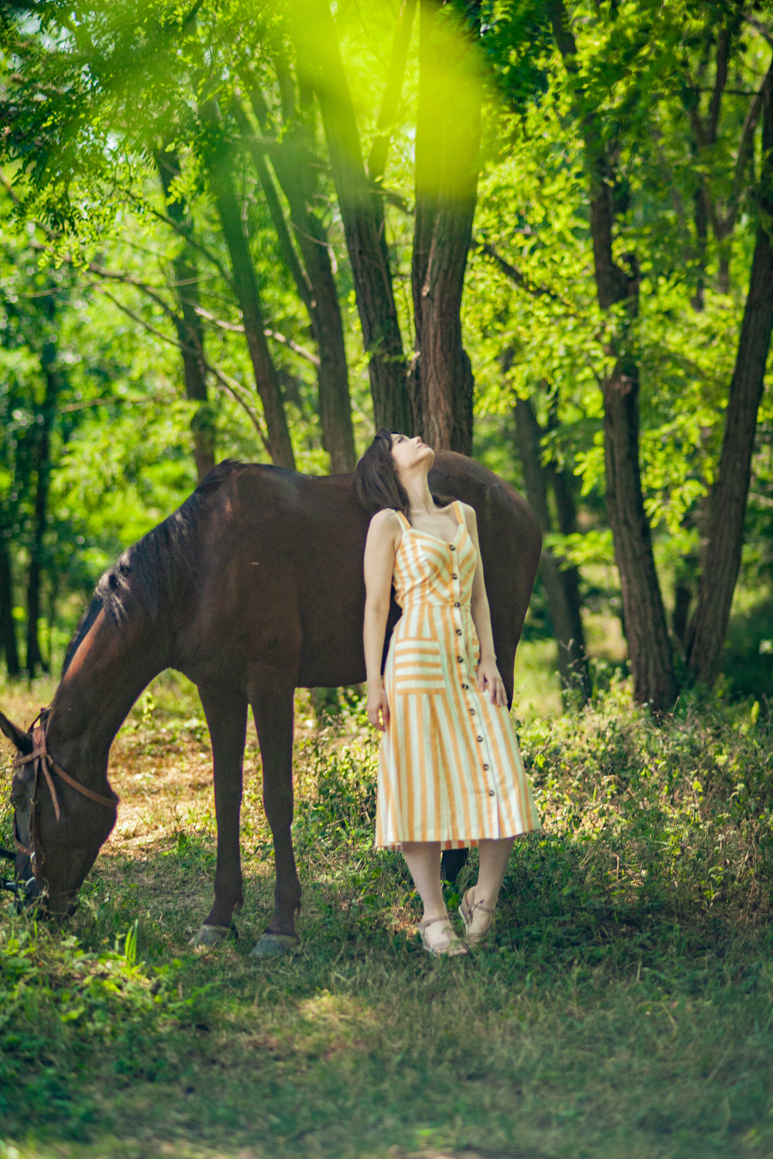 Прогулка с Лошадьми. Свадебный и семейный фотограф в Армавире