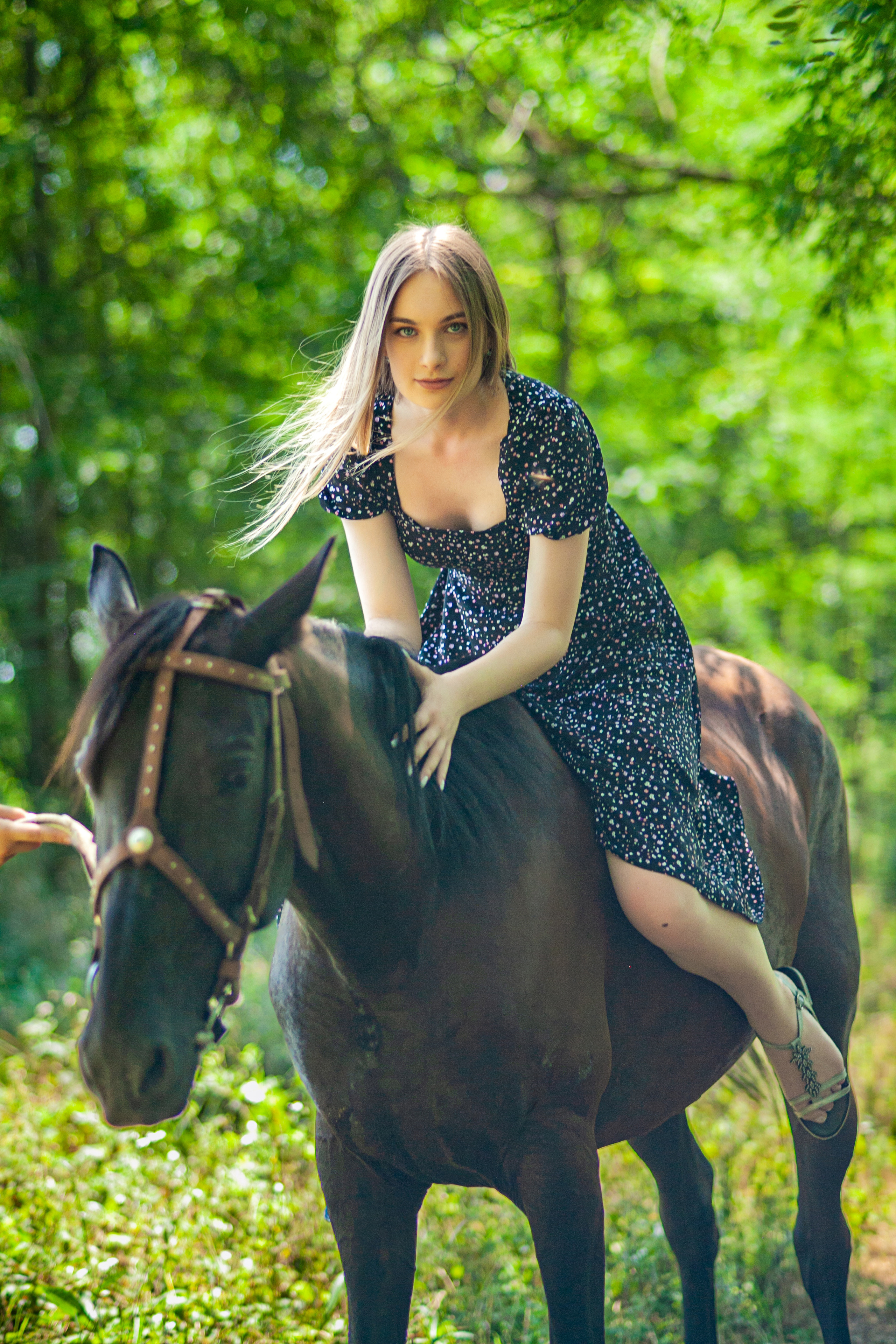 Прогулка с Лошадьми. Свадебный и семейный фотограф в Армавире