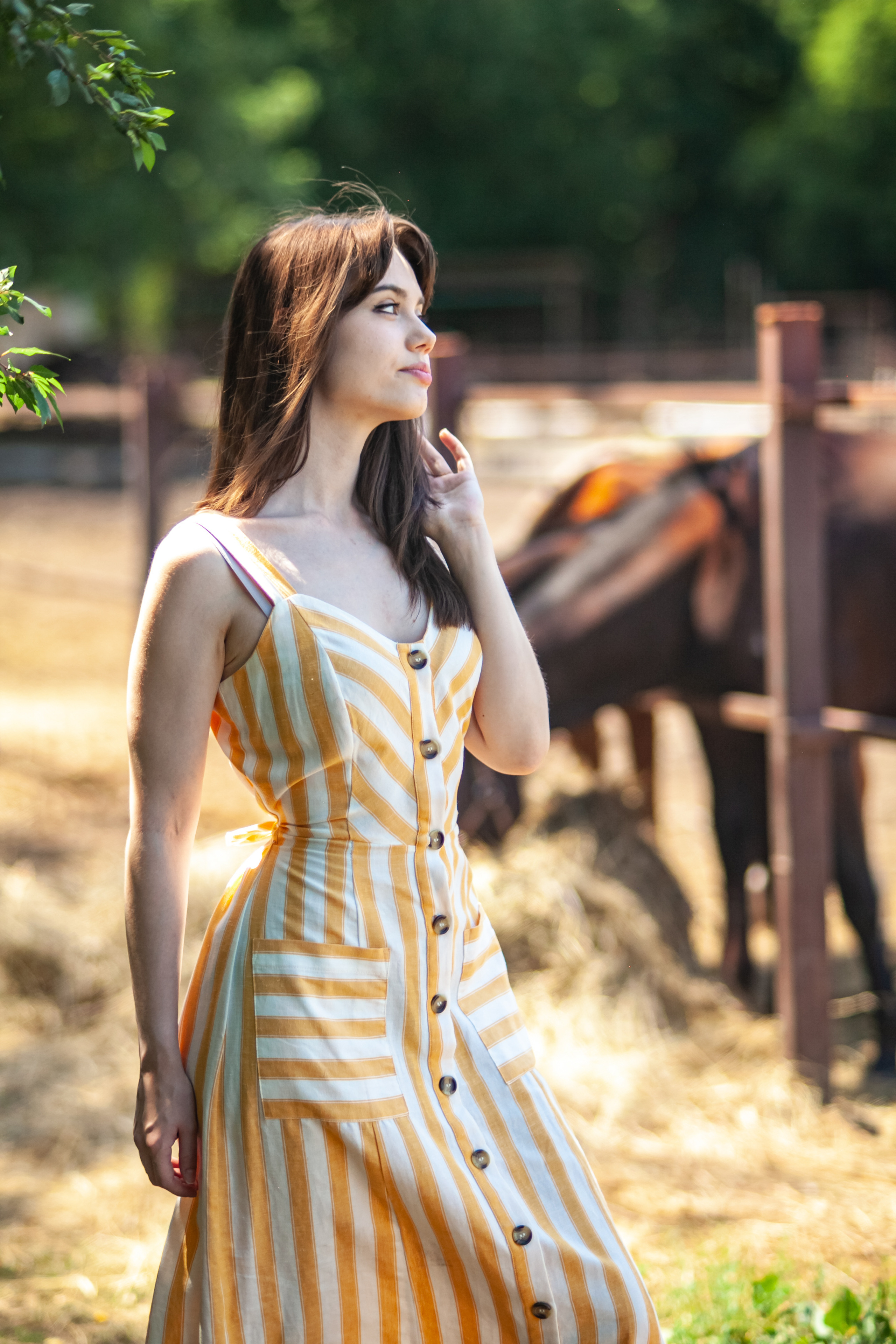 Прогулка с Лошадьми. Свадебный и семейный фотограф в Армавире